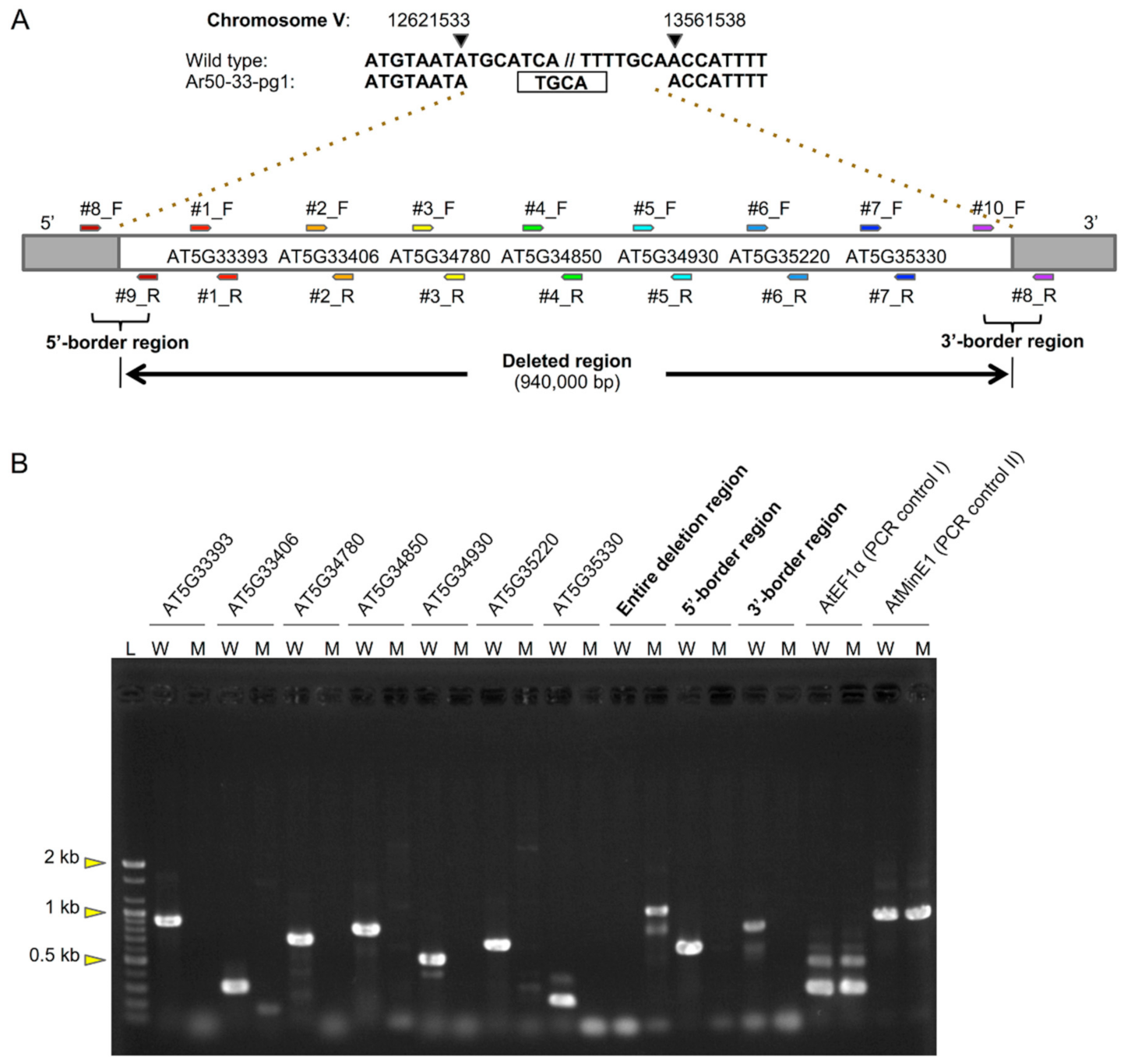 Plants 10 00848 g005