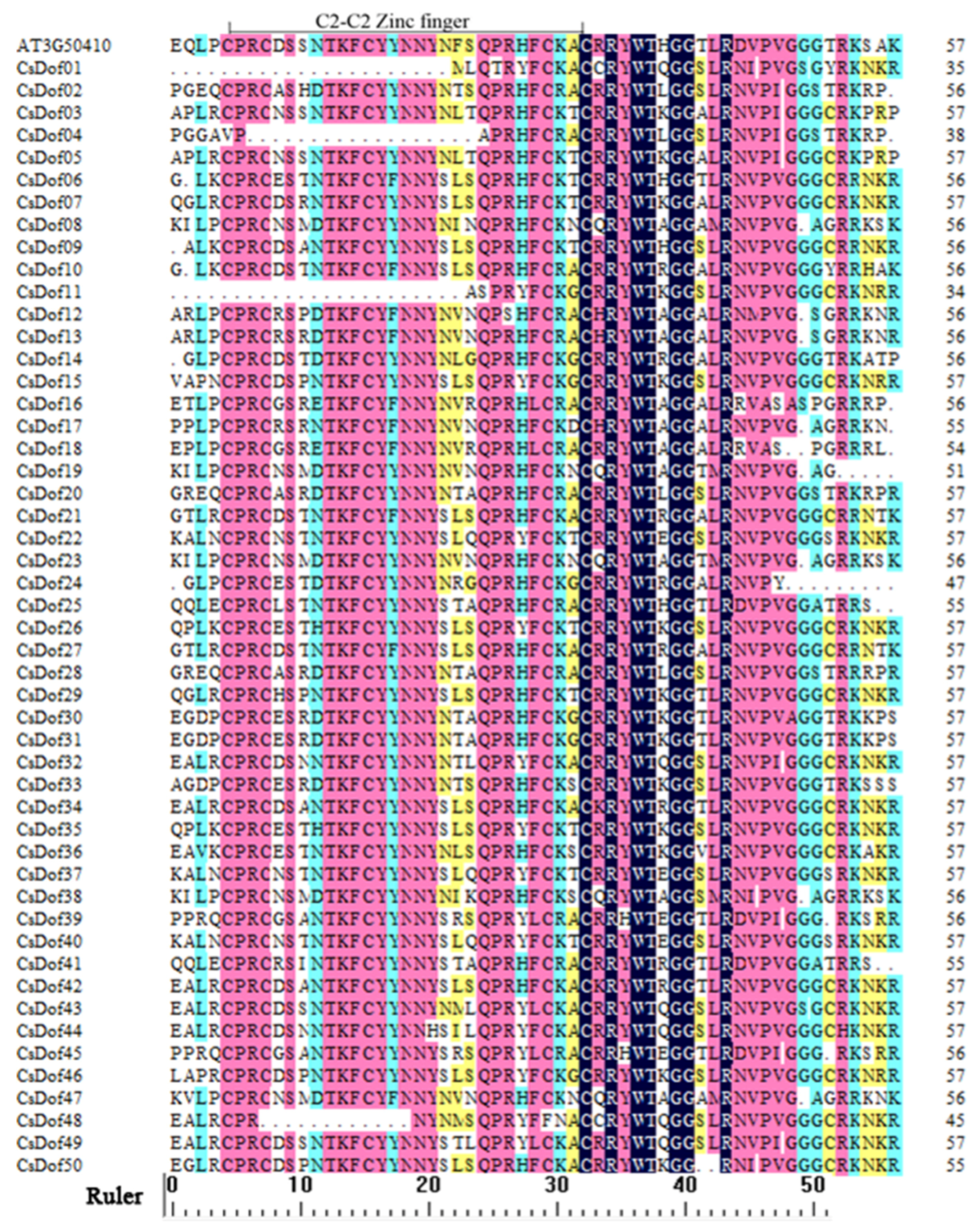 Plants 10 00850 g001 Plants 10 00850 g001