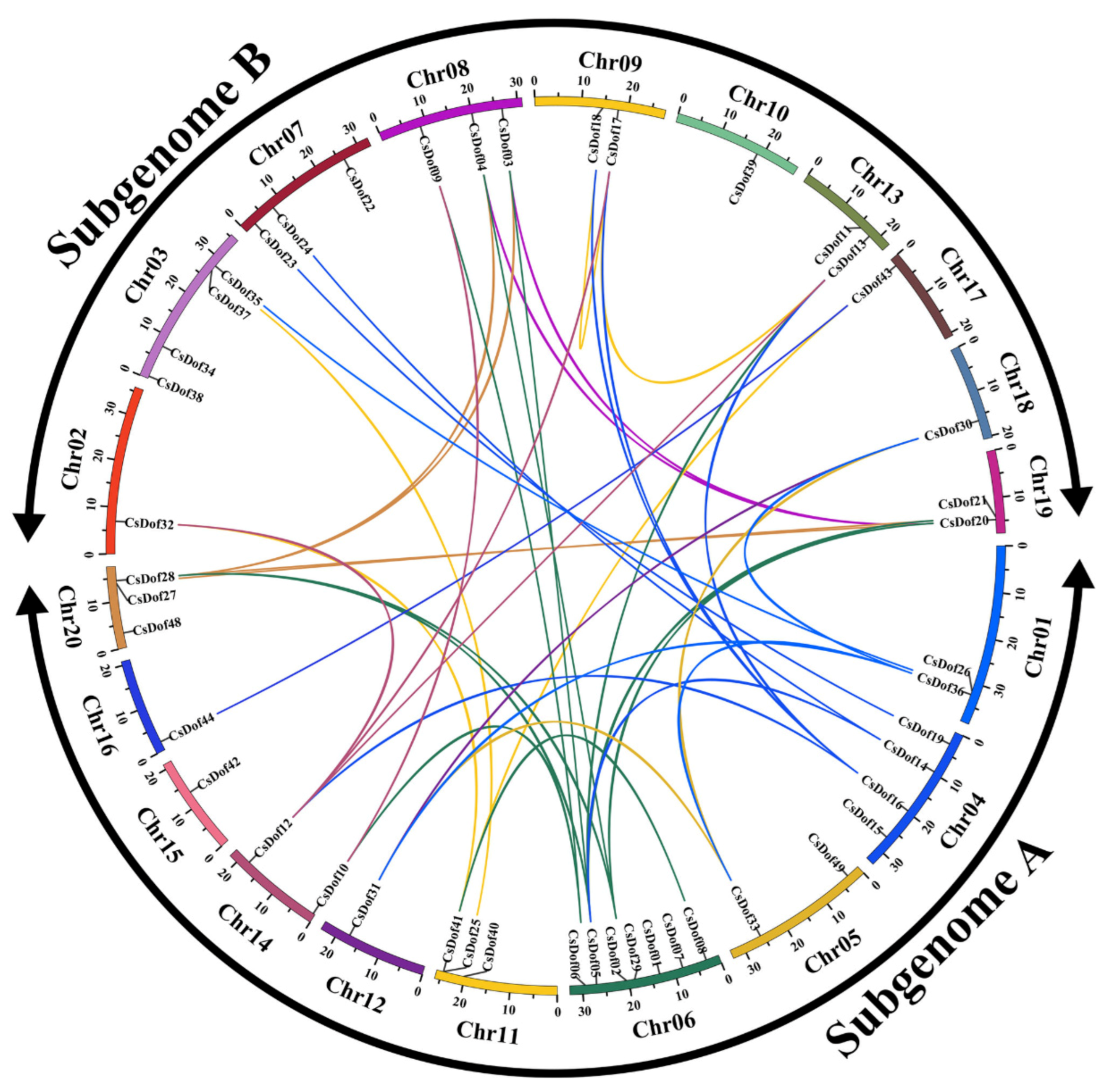 Plants 10 00850 g002 Plants 10 00850 g002