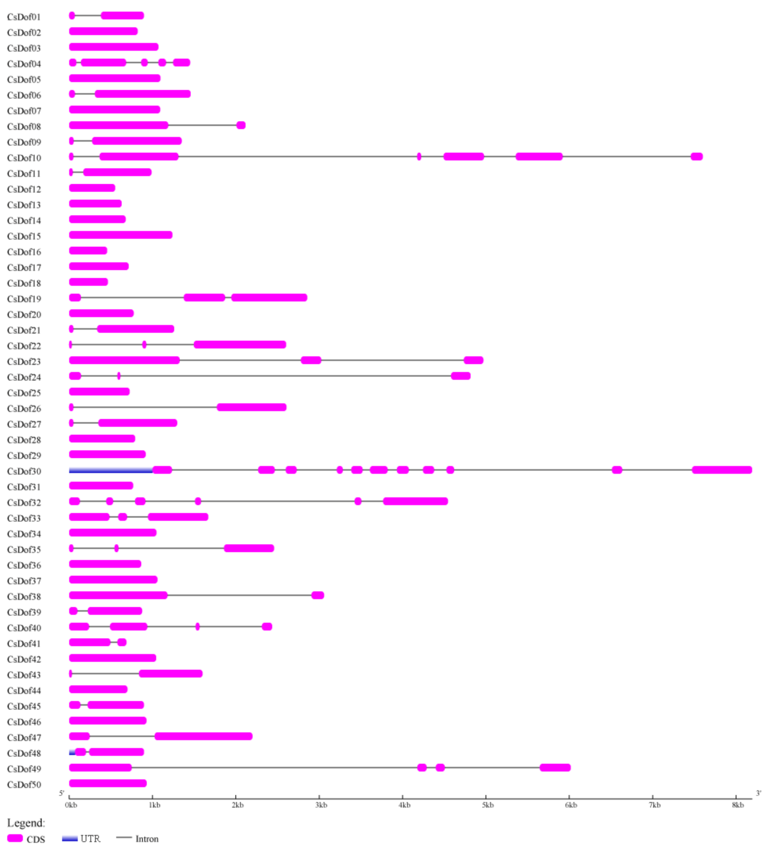 Plants 10 00850 g003 Plants 10 00850 g003