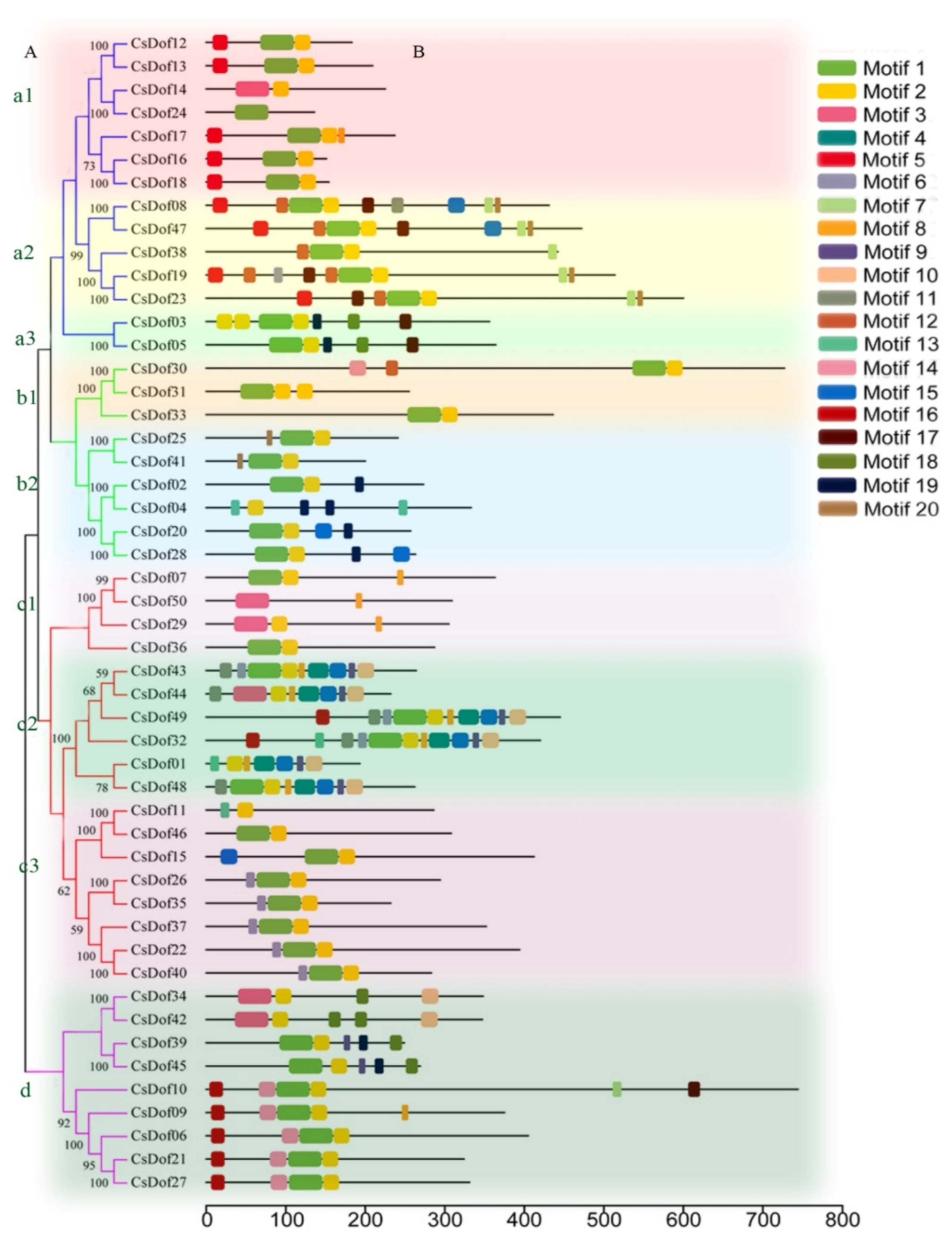 Plants 10 00850 g004 Plants 10 00850 g004