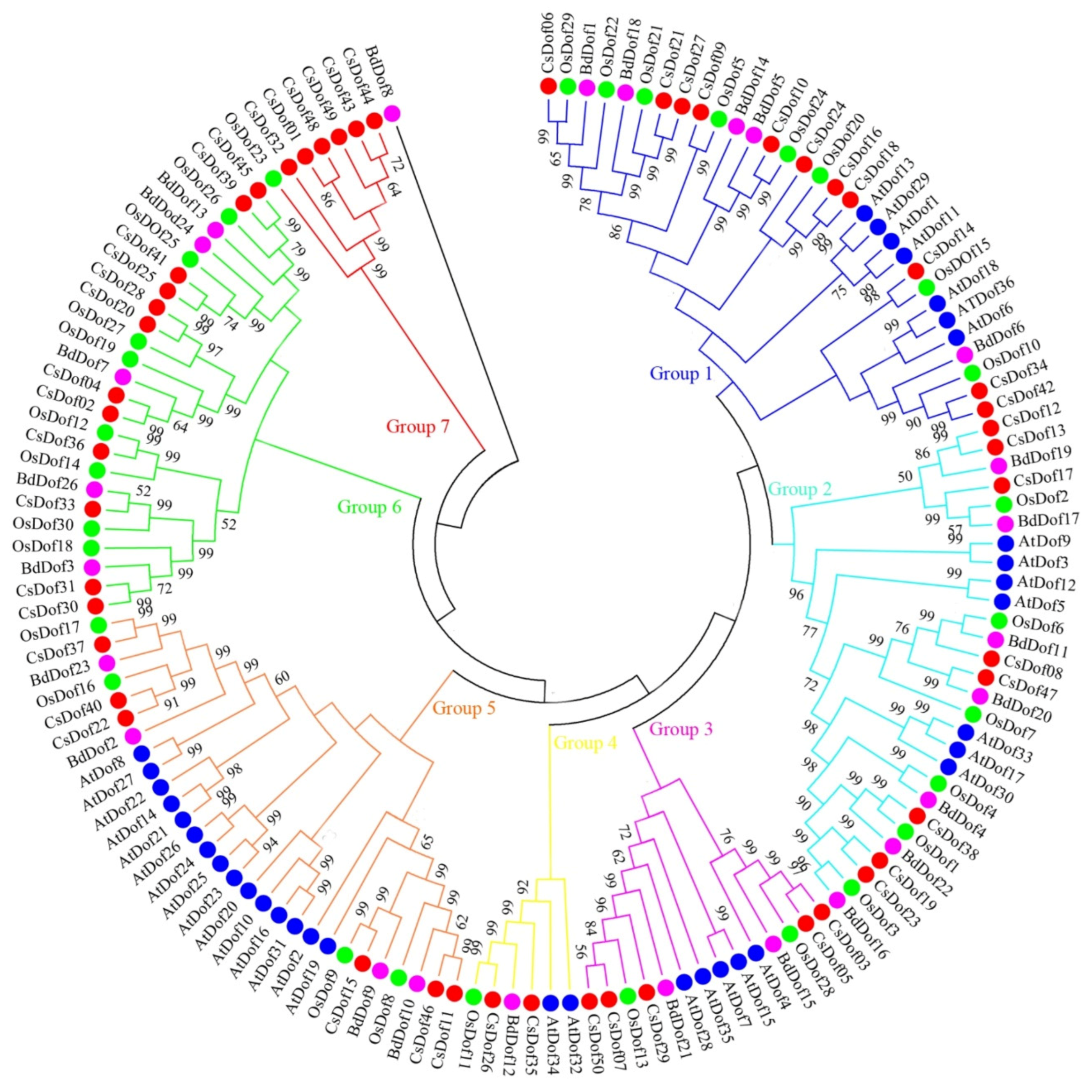 Plants 10 00850 g005 Plants 10 00850 g005