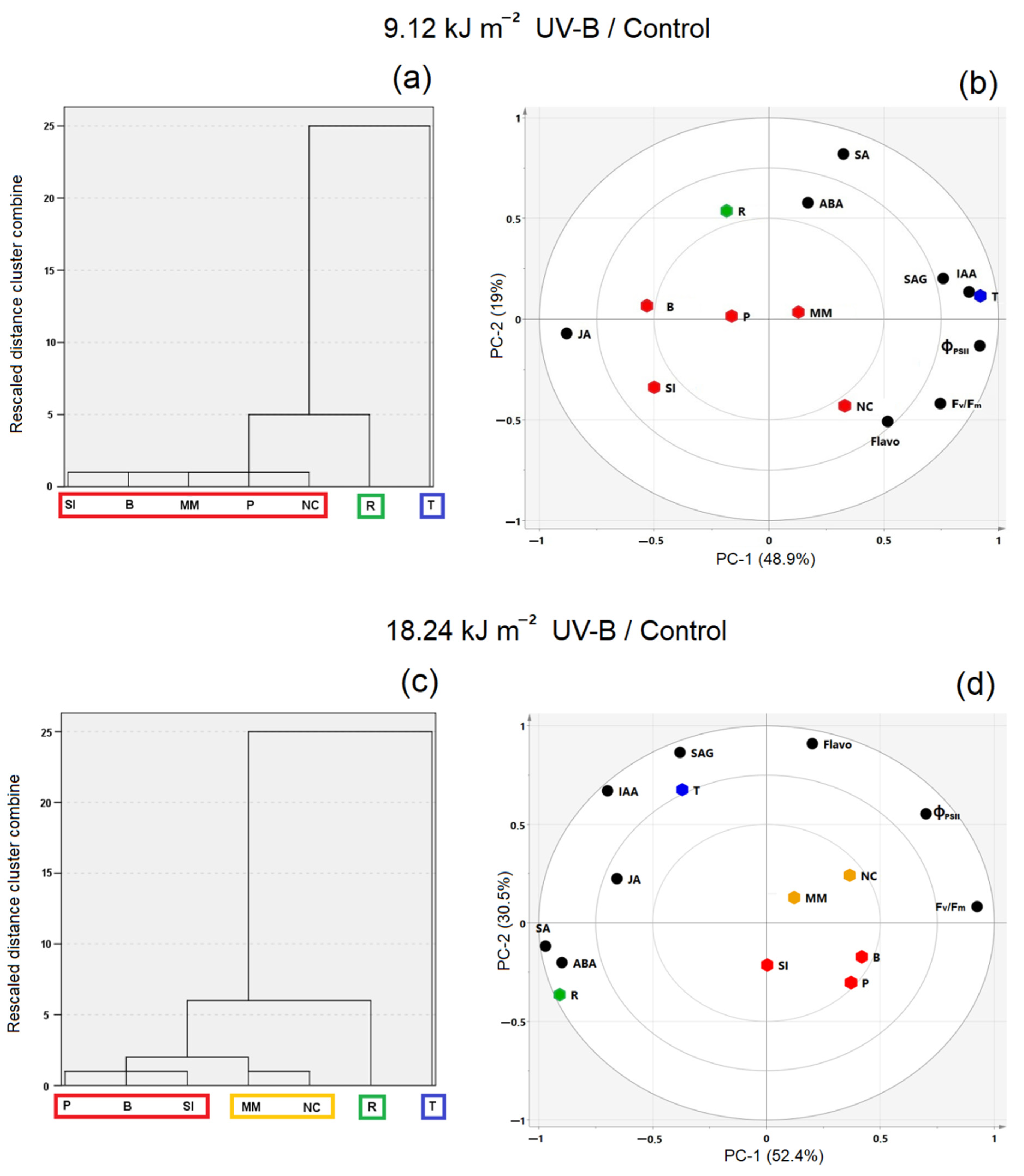 Plants 10 00858 g004