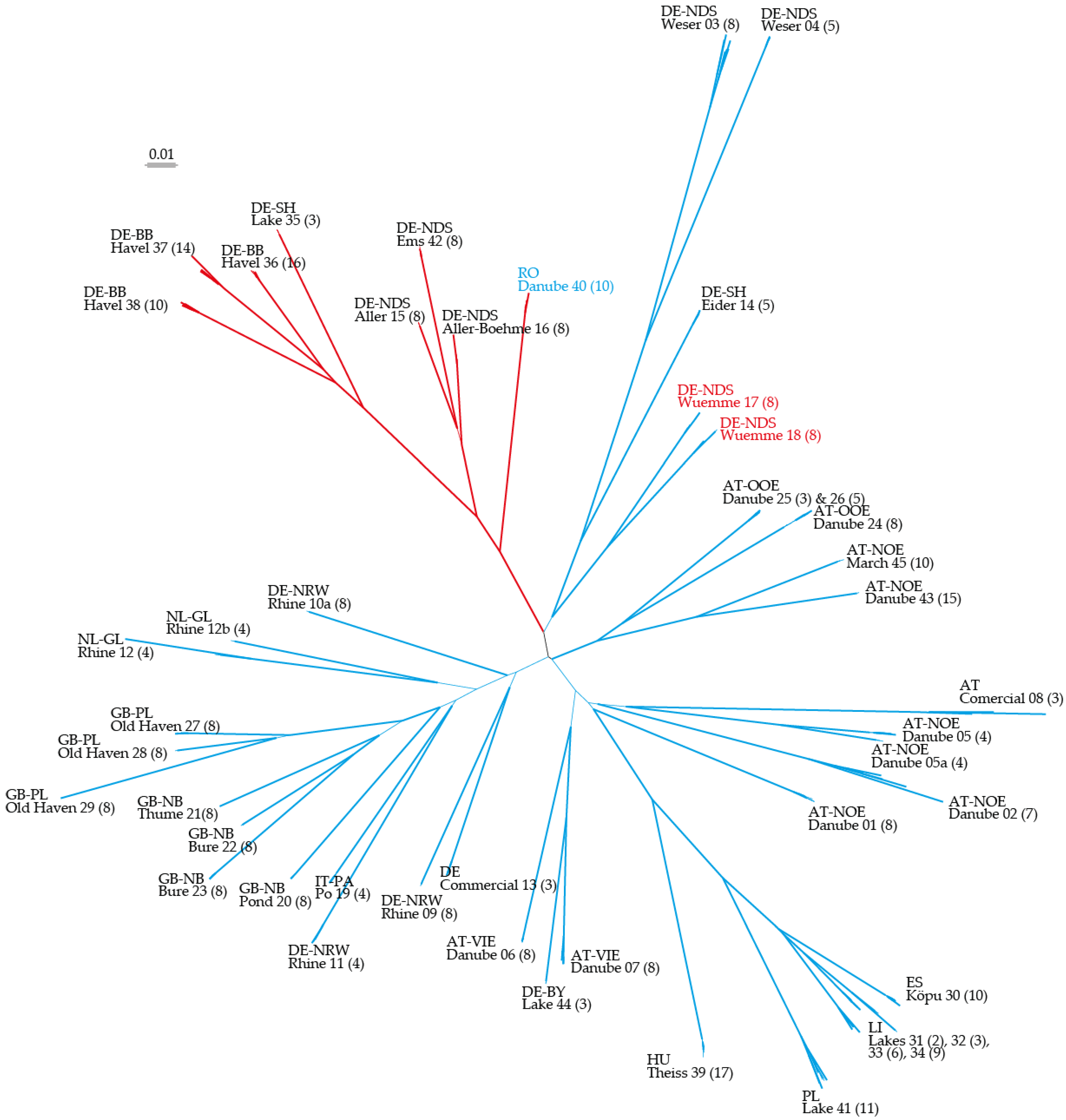 Plants 10 00863 g001