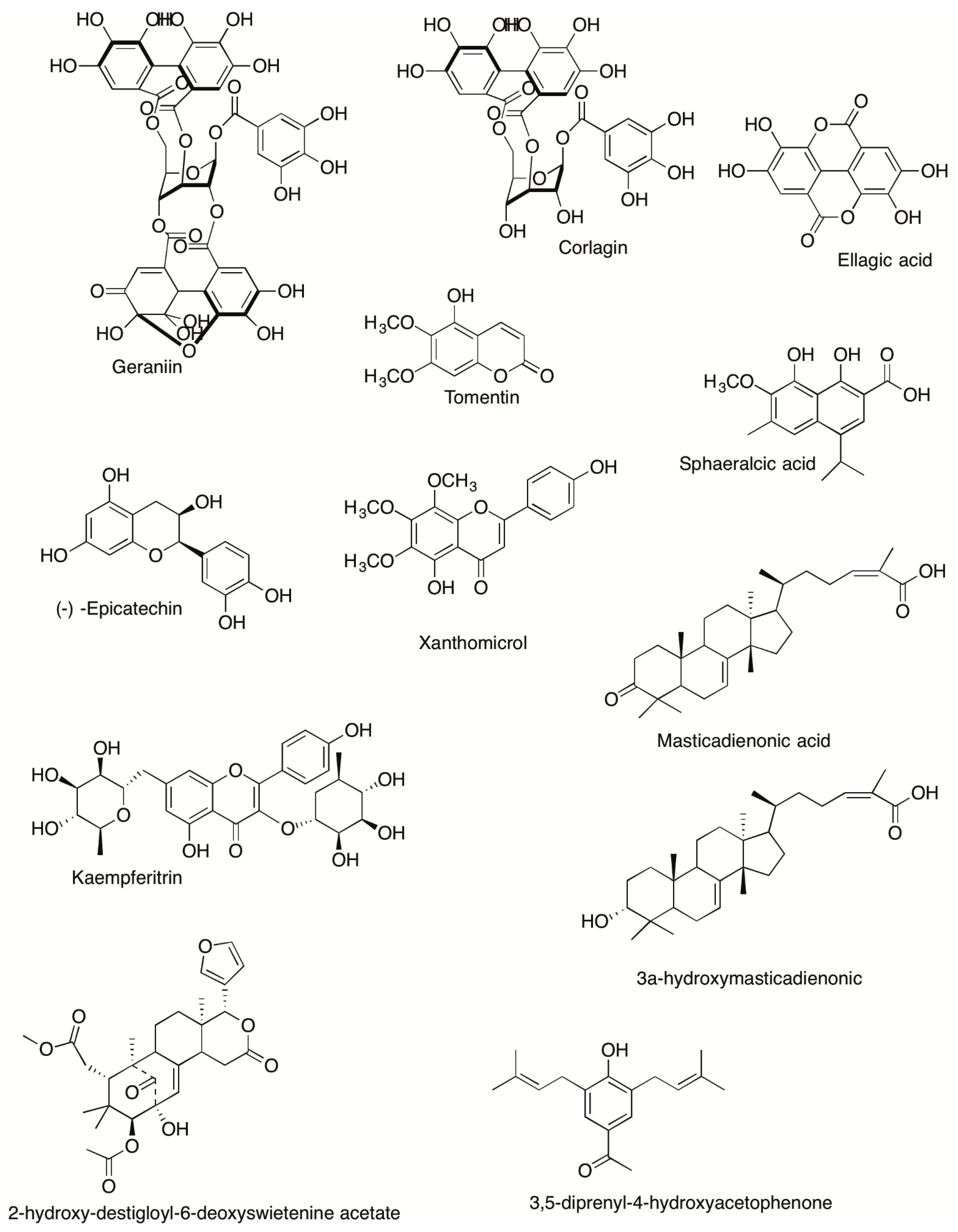 Plants 10 00865 g001b Plants 10 00865 g001b