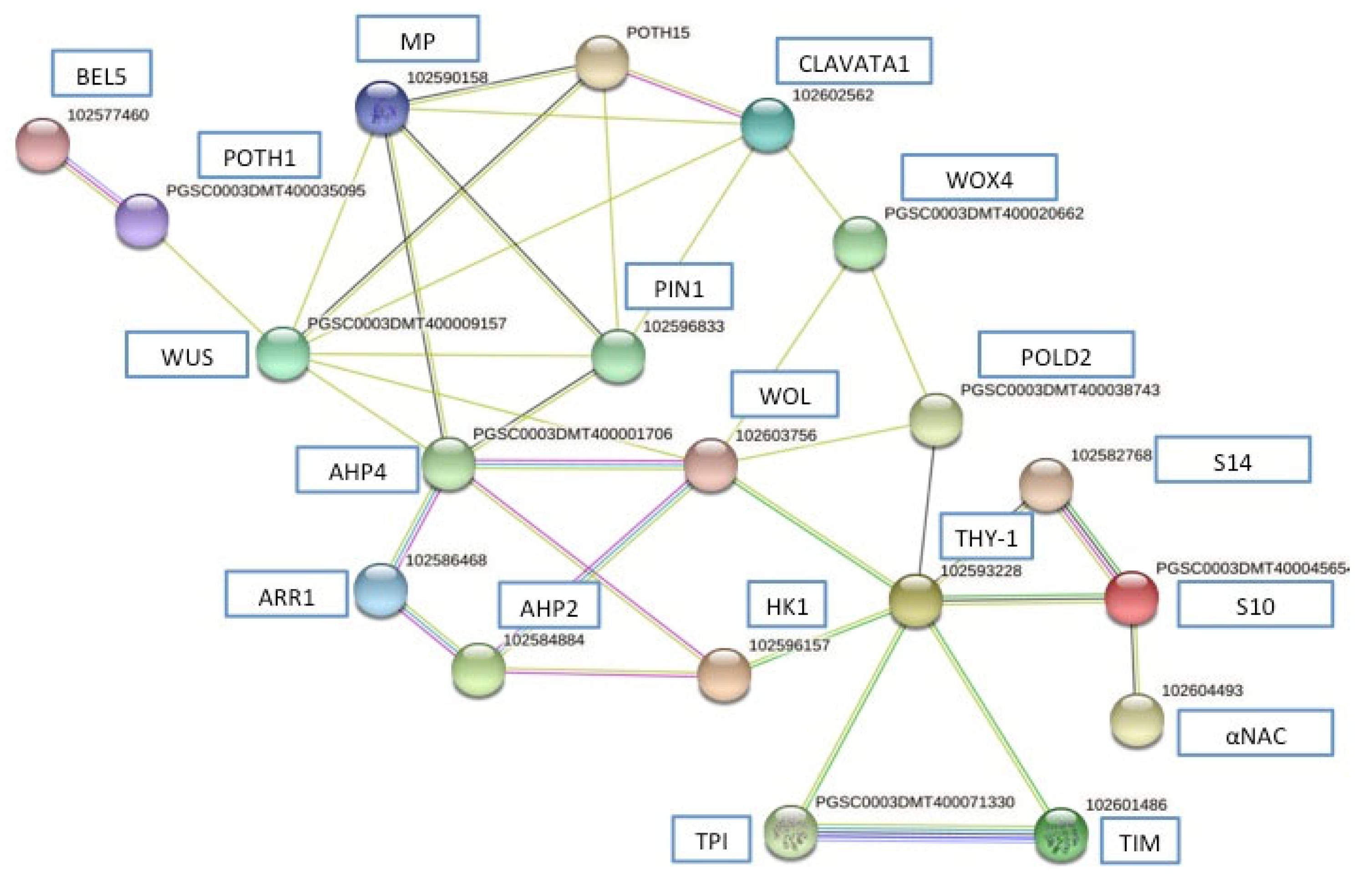 Plants 10 00876 g002