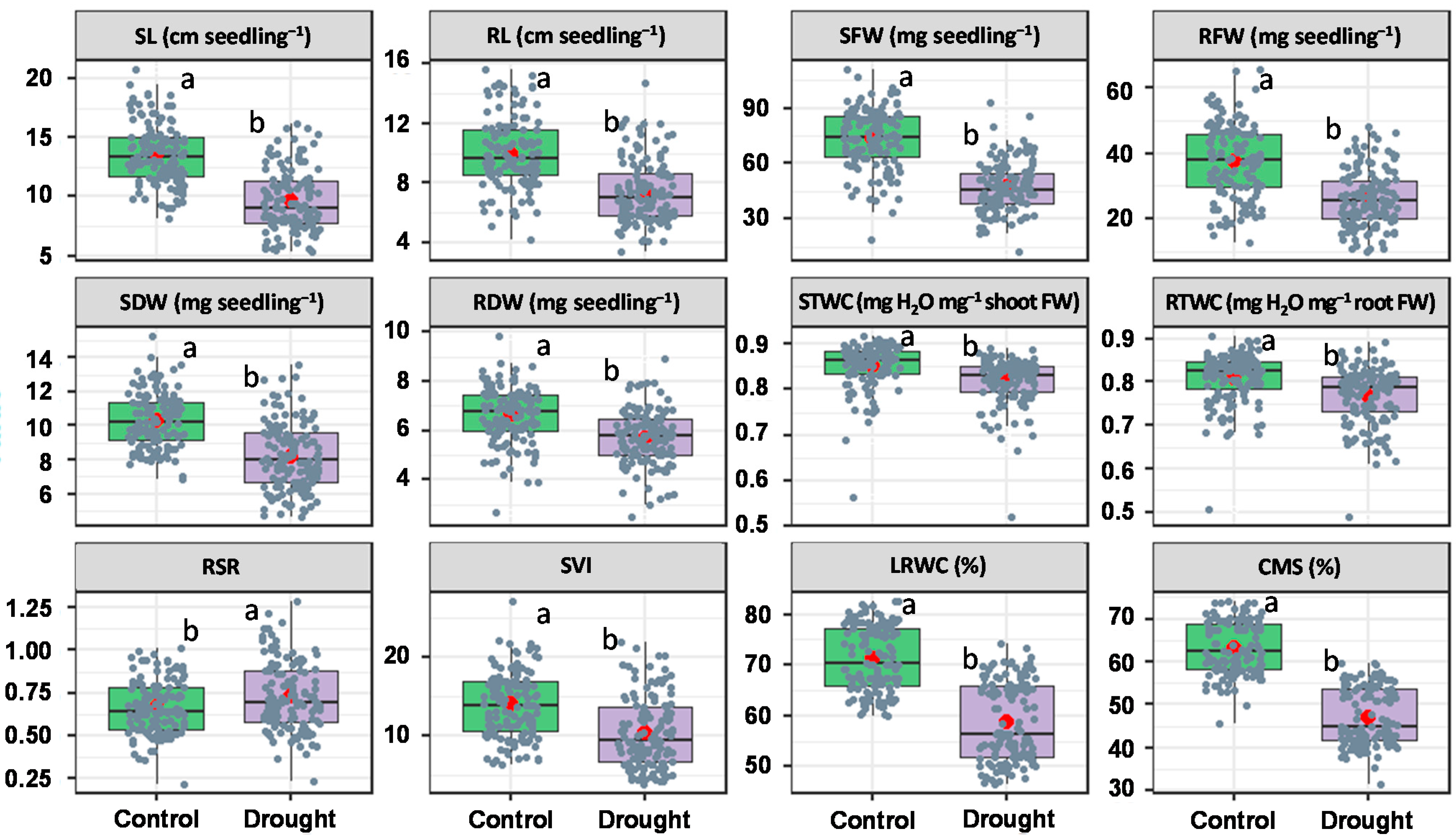 Plants 10 00879 g001