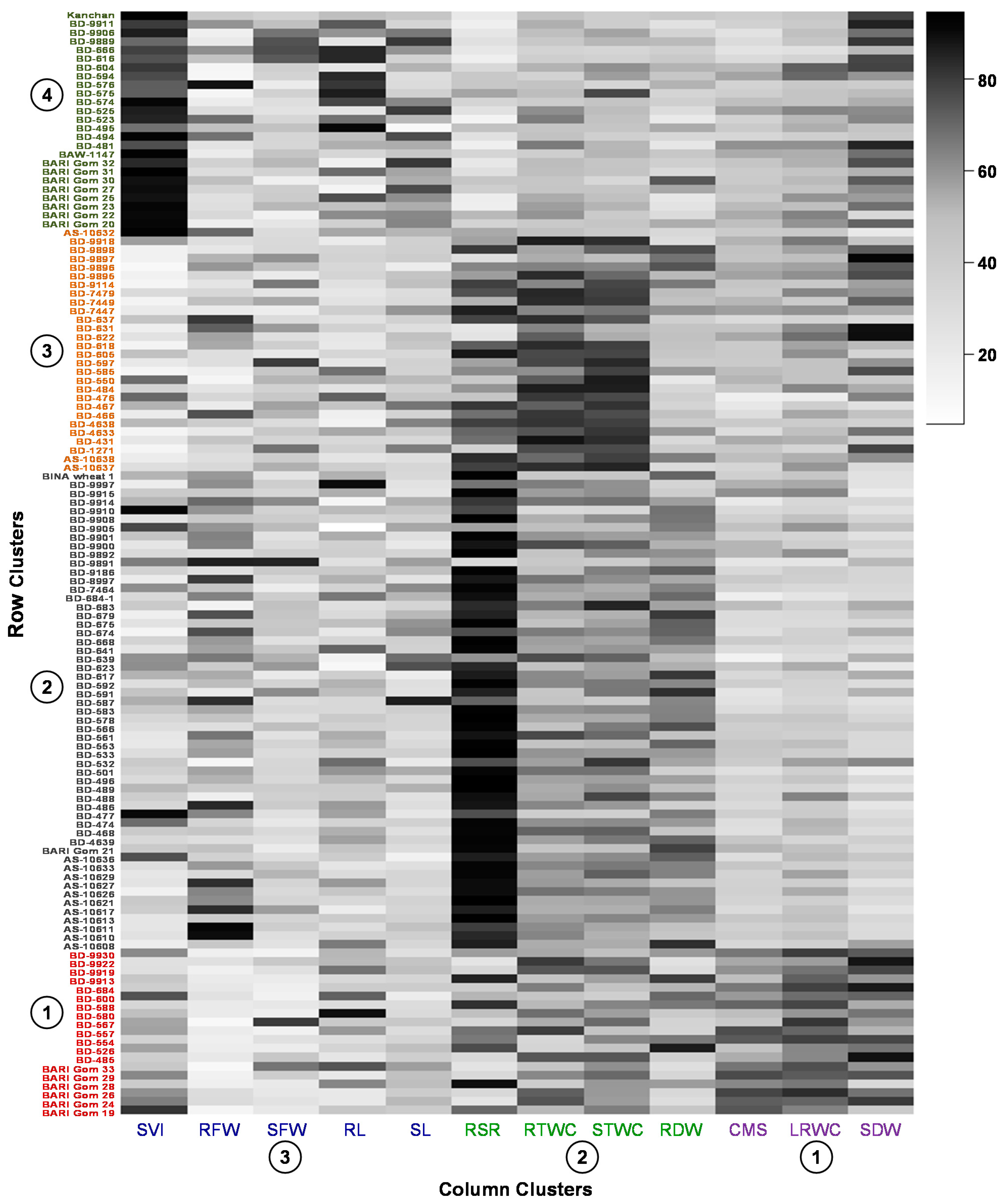 Plants 10 00879 g003