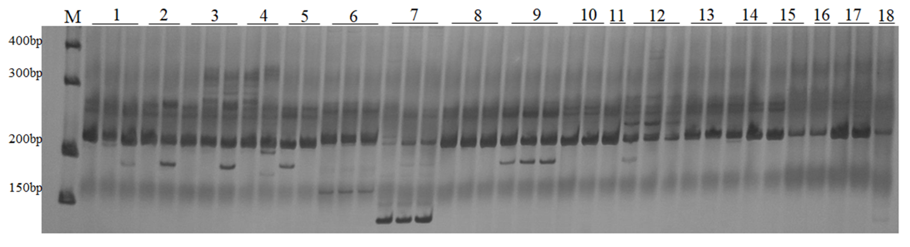 Plants 10 00890 g001 Plants 10 00890 g001