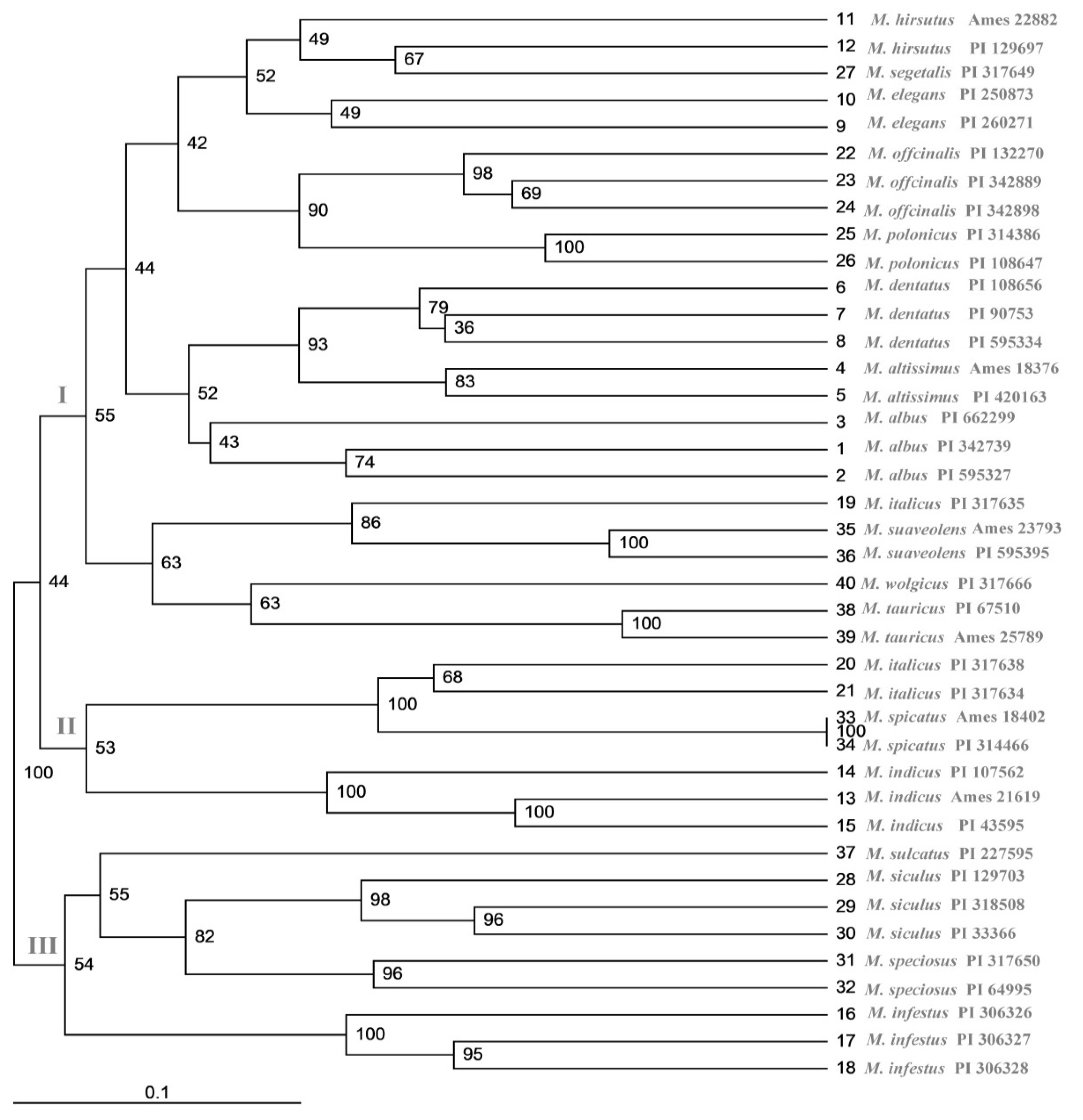 Plants 10 00890 g004 Plants 10 00890 g004