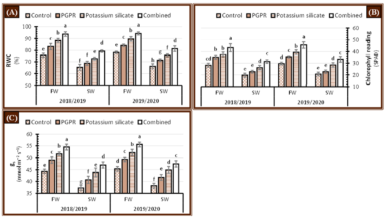 Plants 10 00894 g006