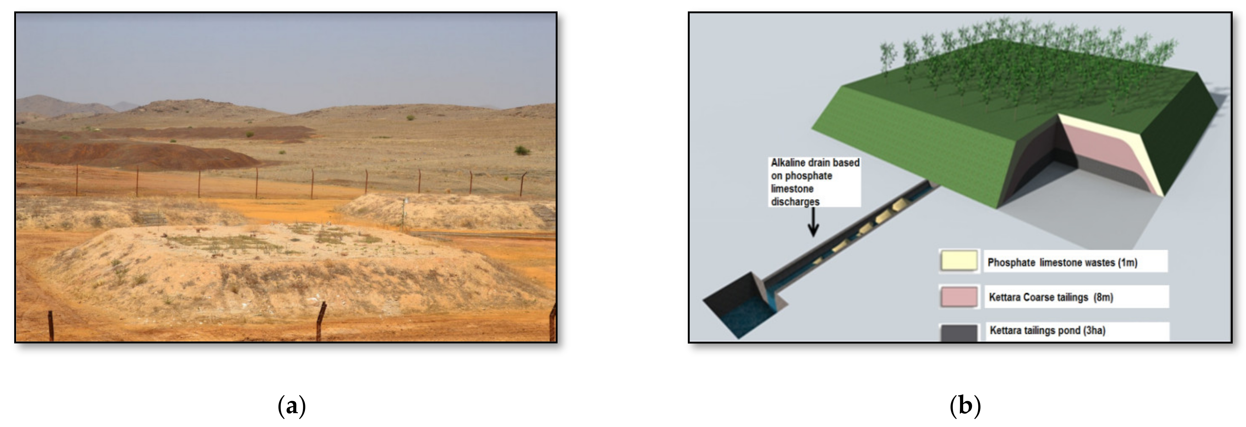 Plants 10 00900 g001