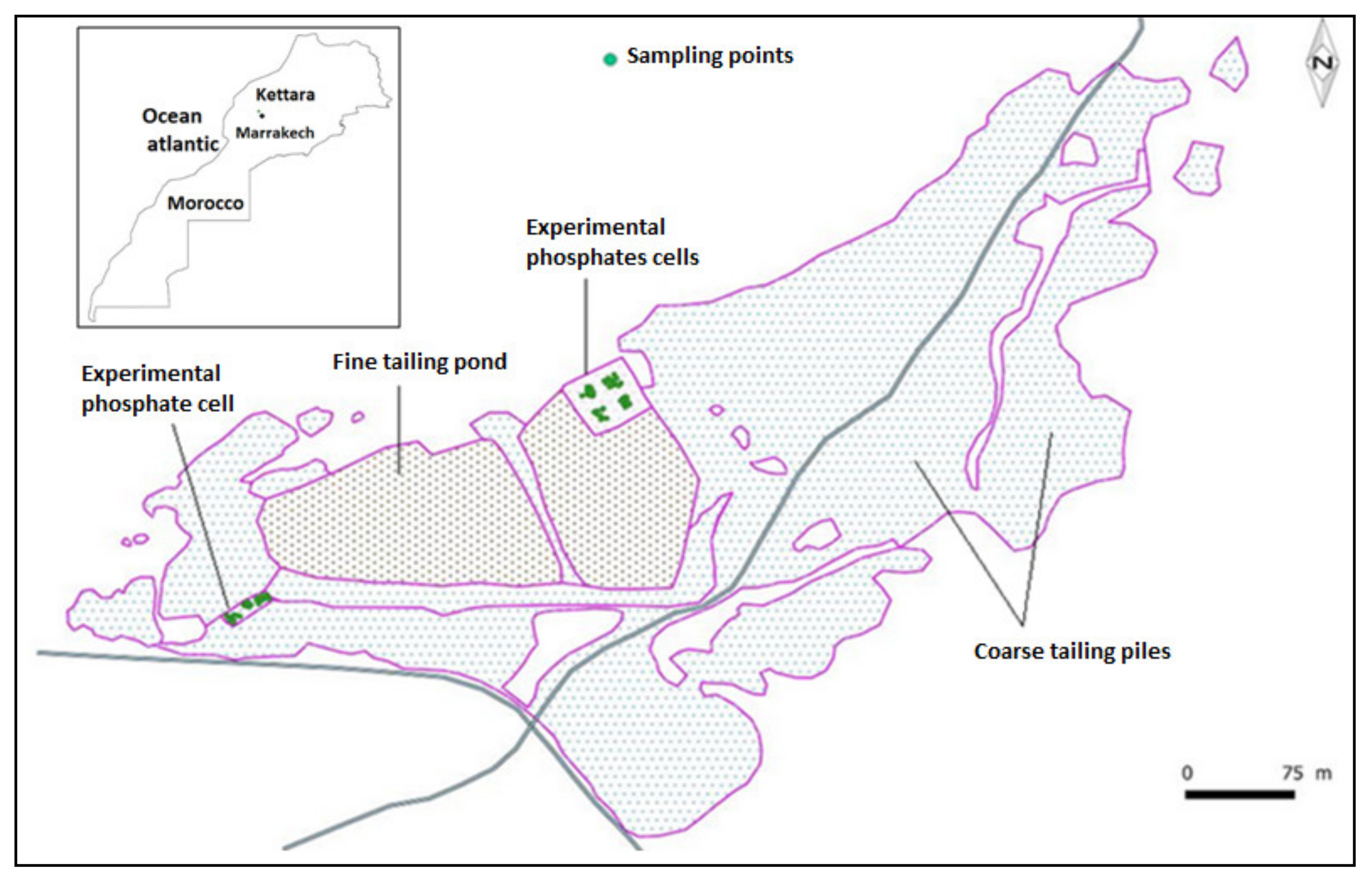 Plants 10 00900 g003