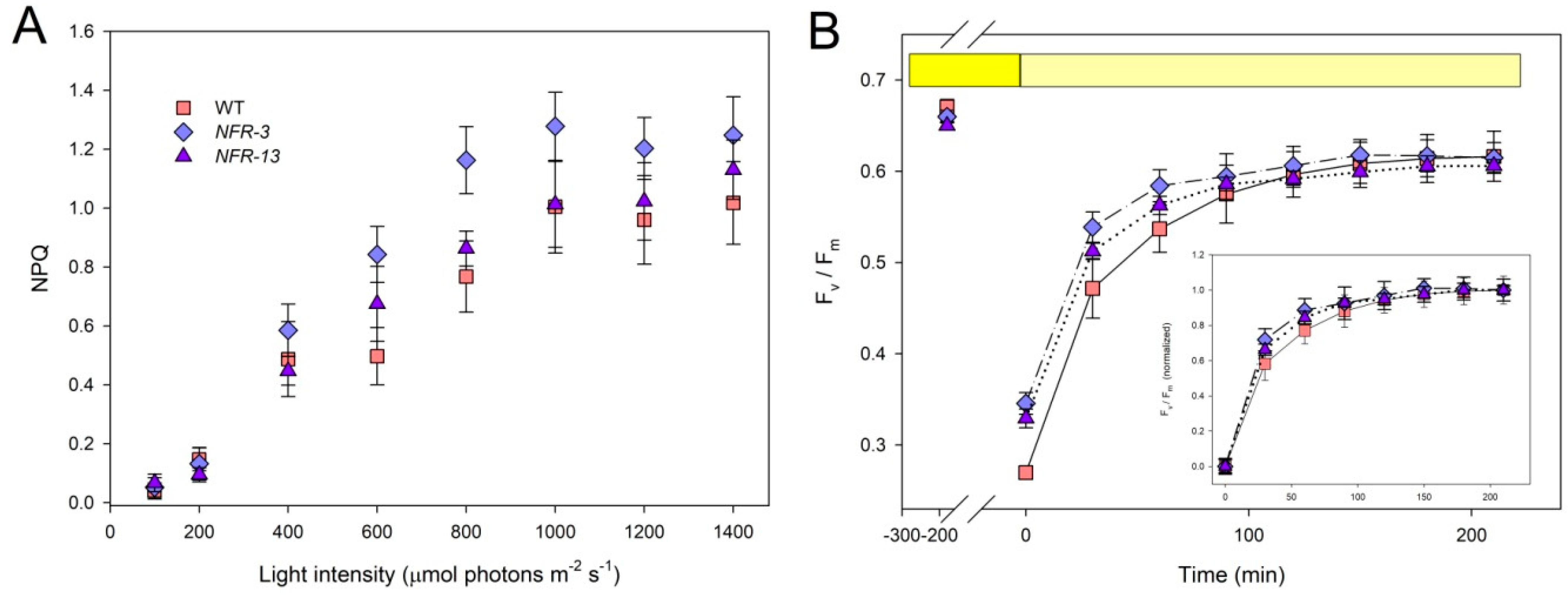 Plants 10 00911 g004 Plants 10 00911 g004
