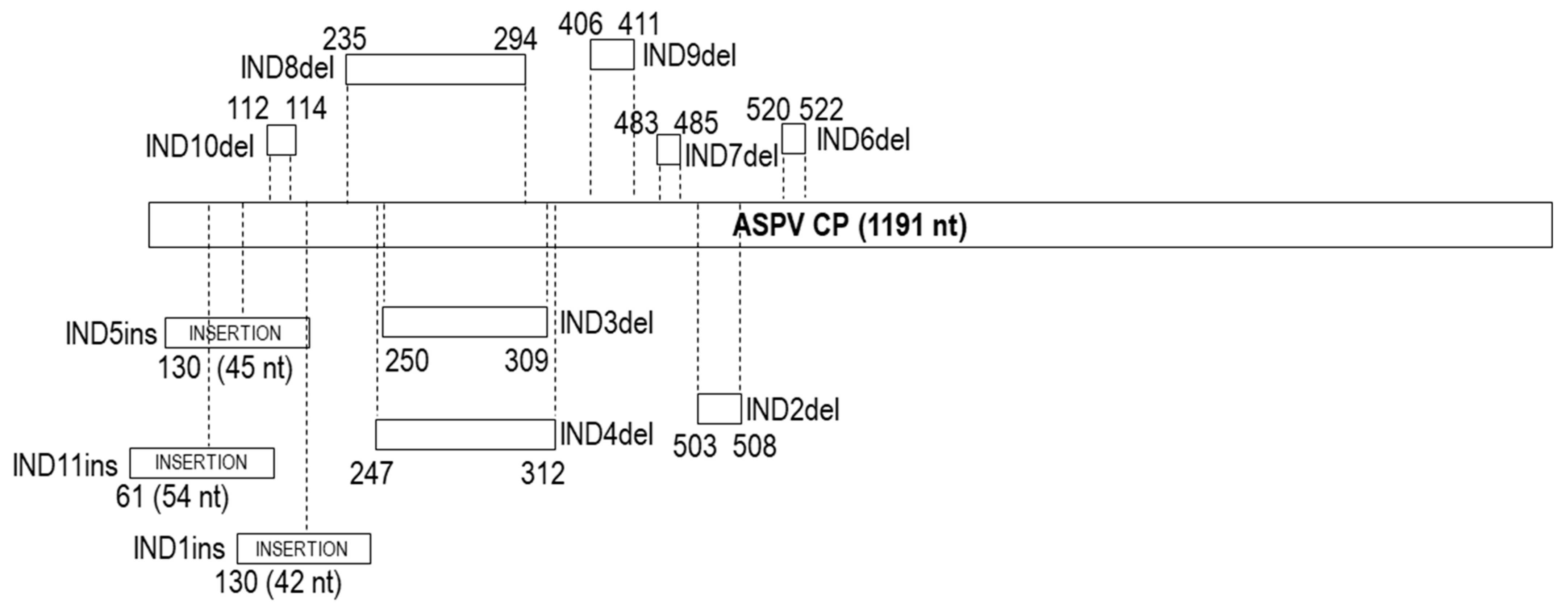 Plants 10 00917 g002