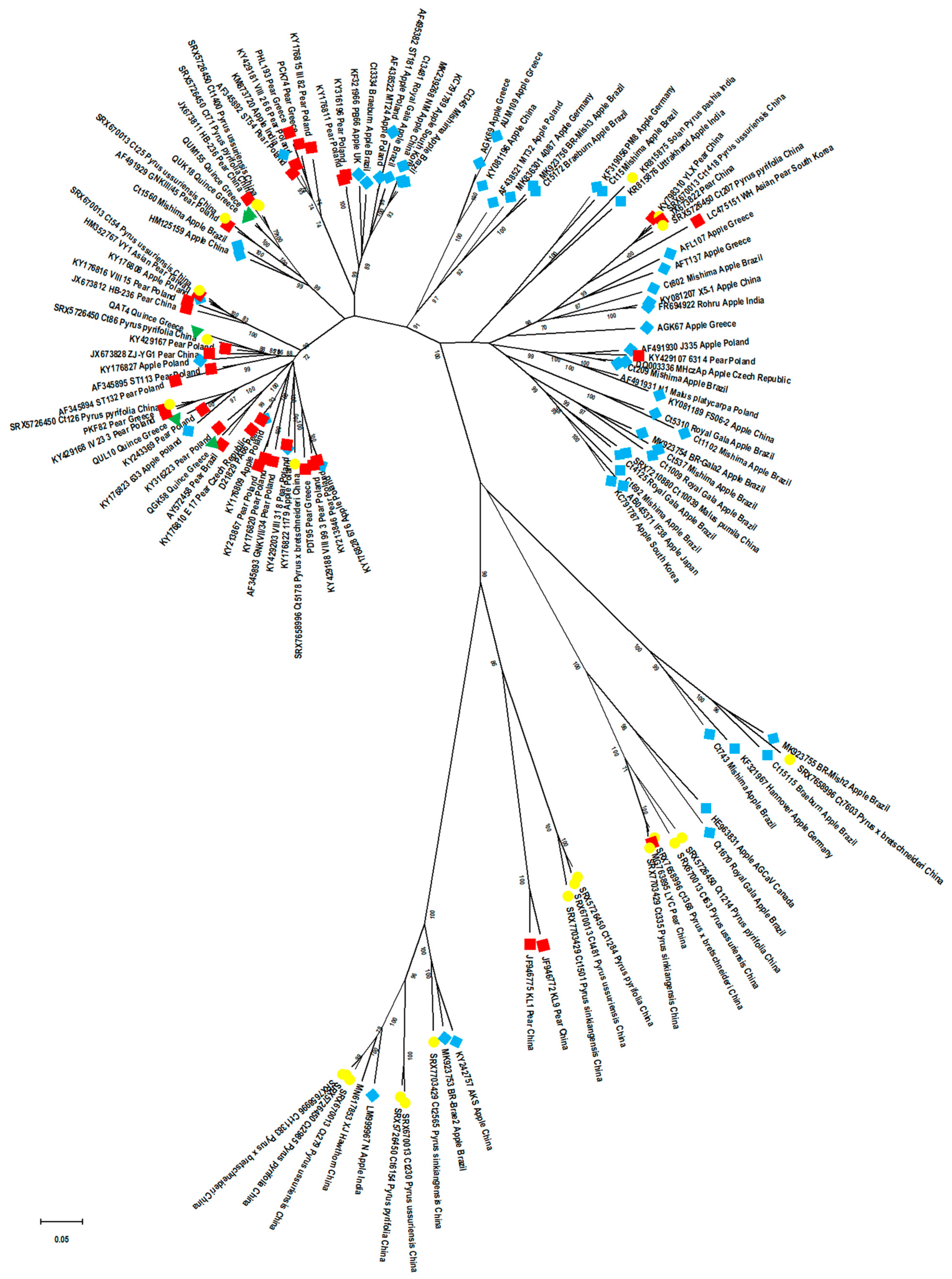 Plants 10 00917 g003