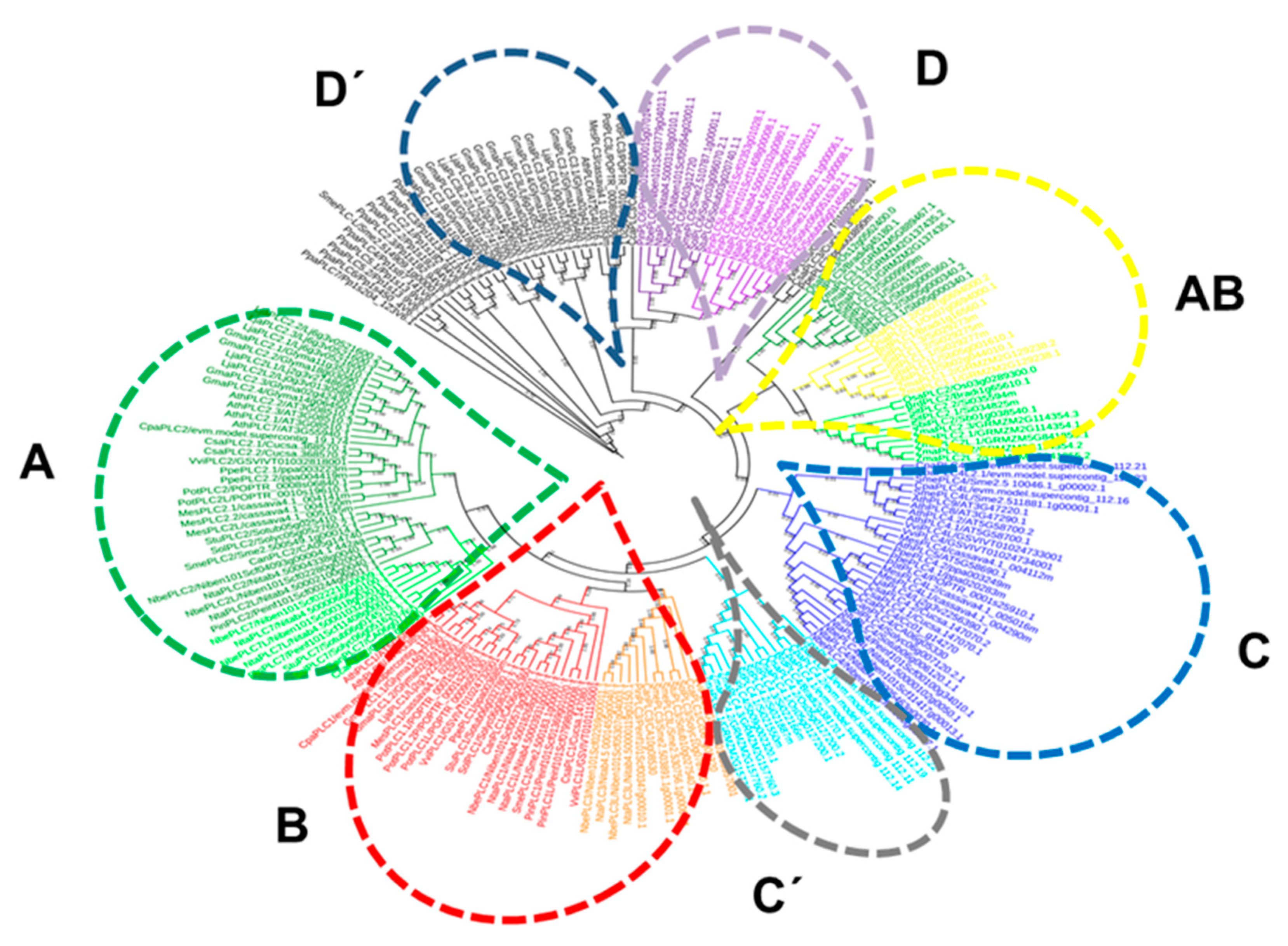 Plants 10 00921 g001