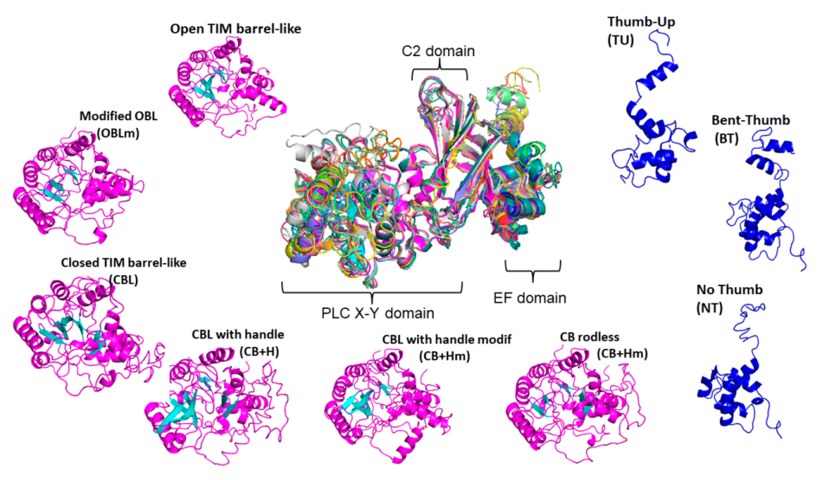 Plants 10 00921 g002