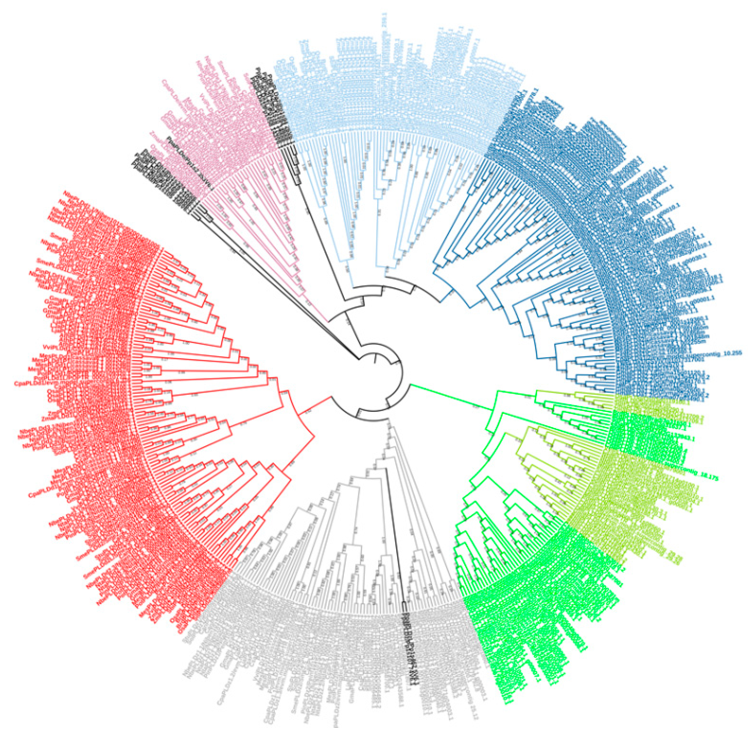 Plants 10 00921 g003