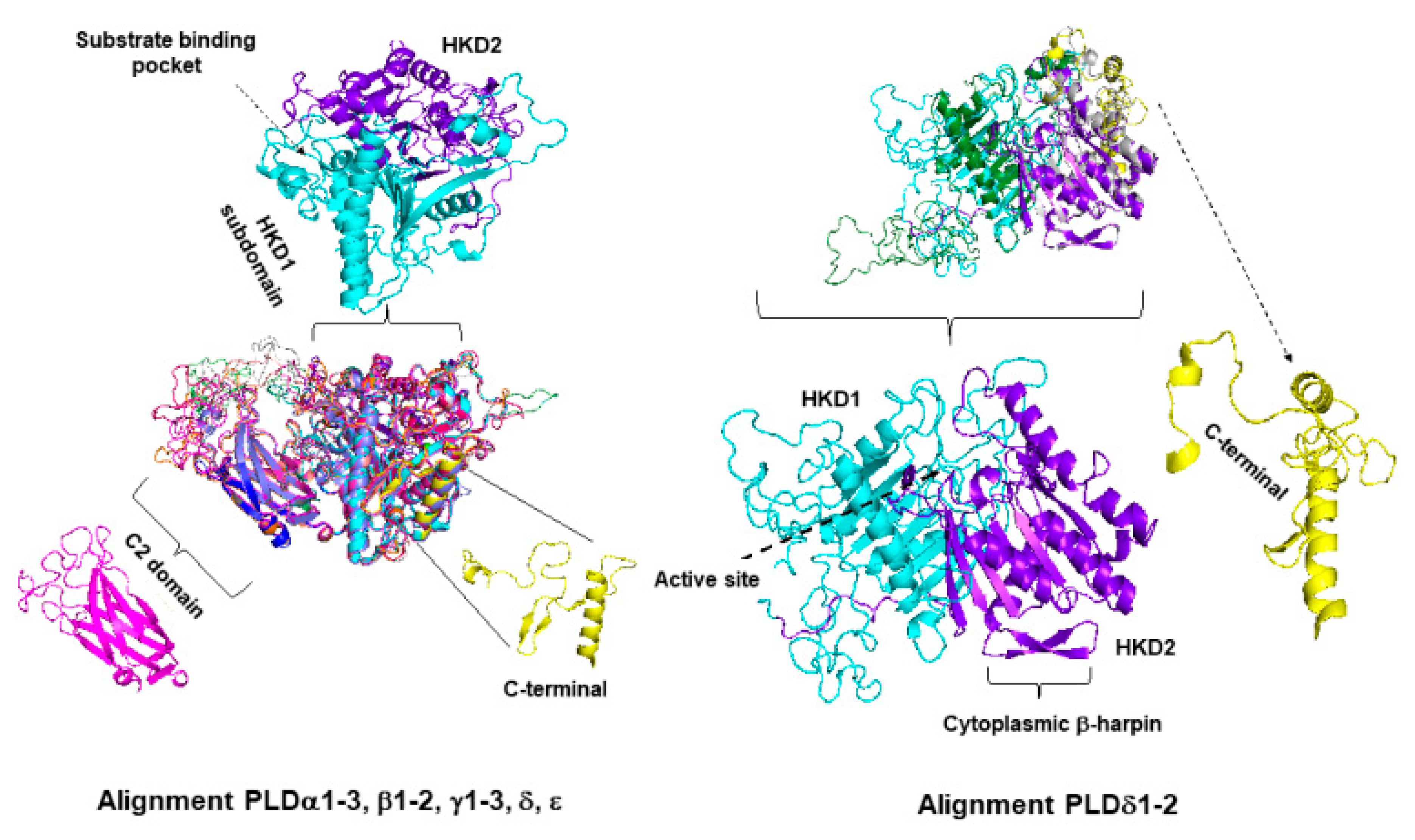 Plants 10 00921 g004