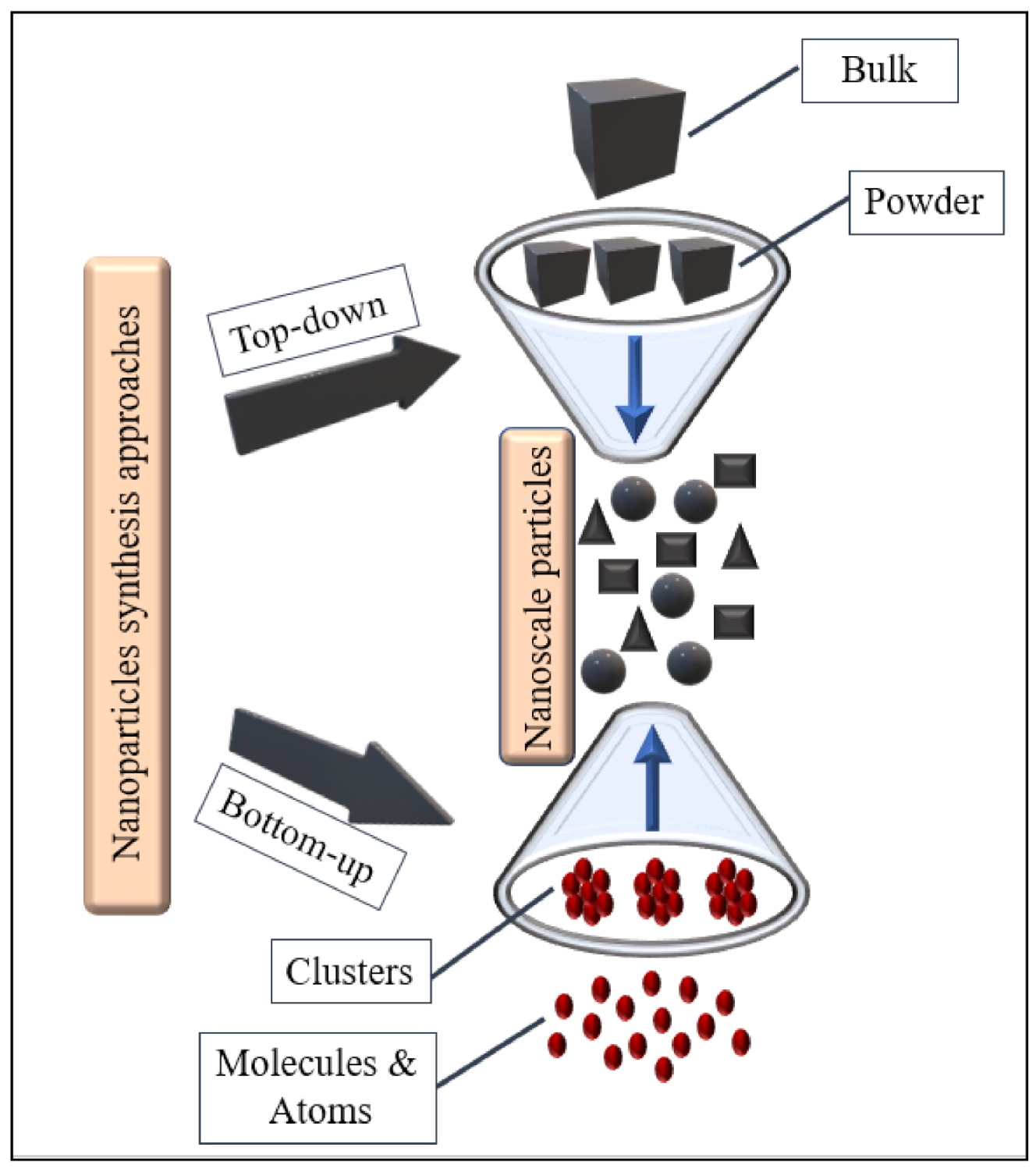 Plants 10 00929 g001