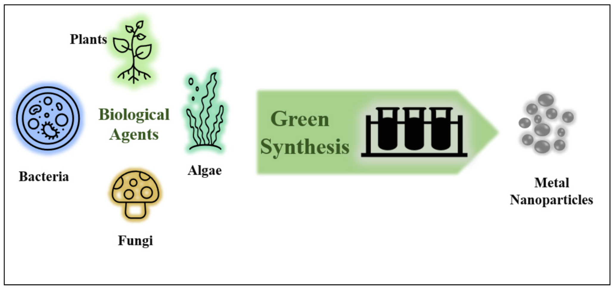 Plants 10 00929 g002