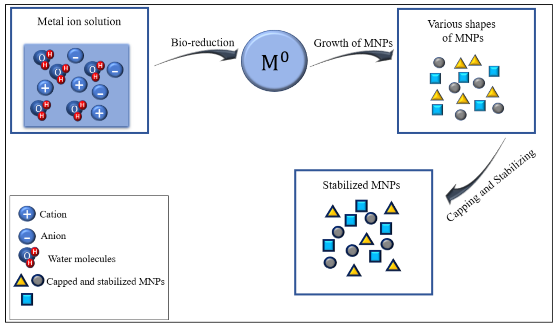 Plants 10 00929 g003