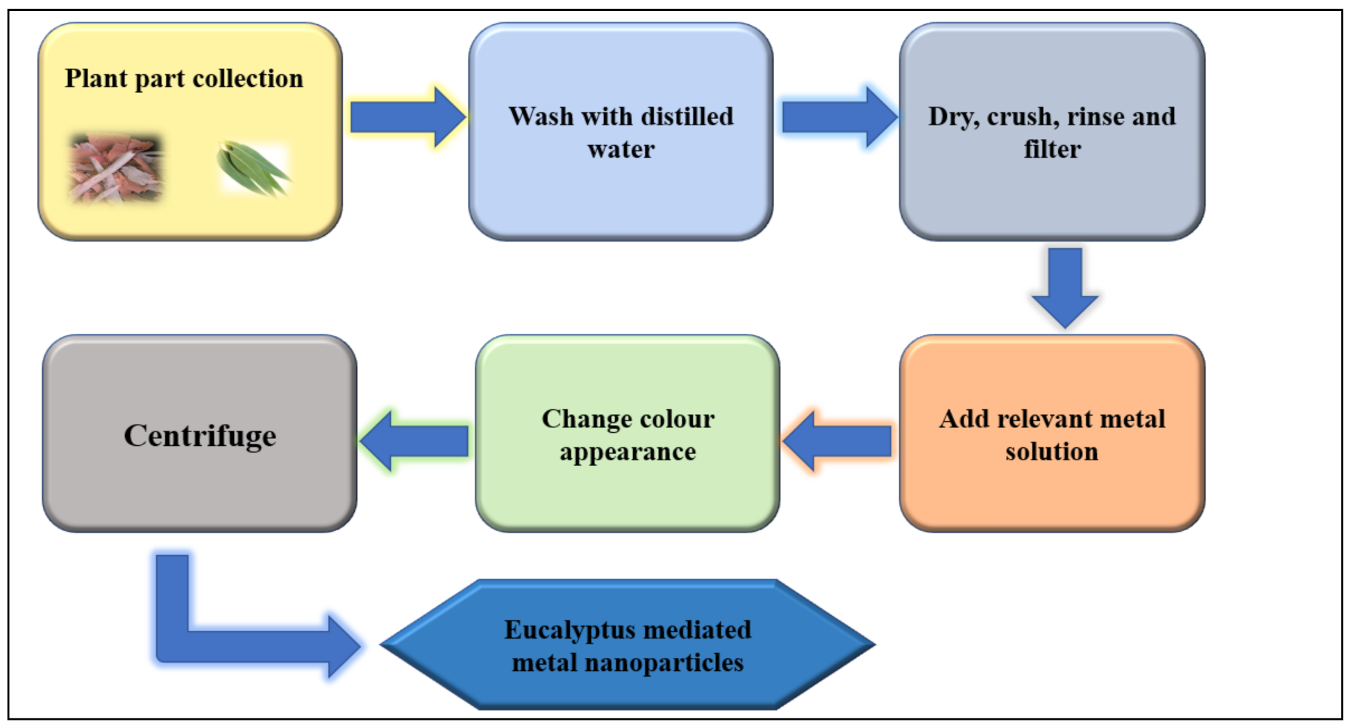 Plants 10 00929 g005