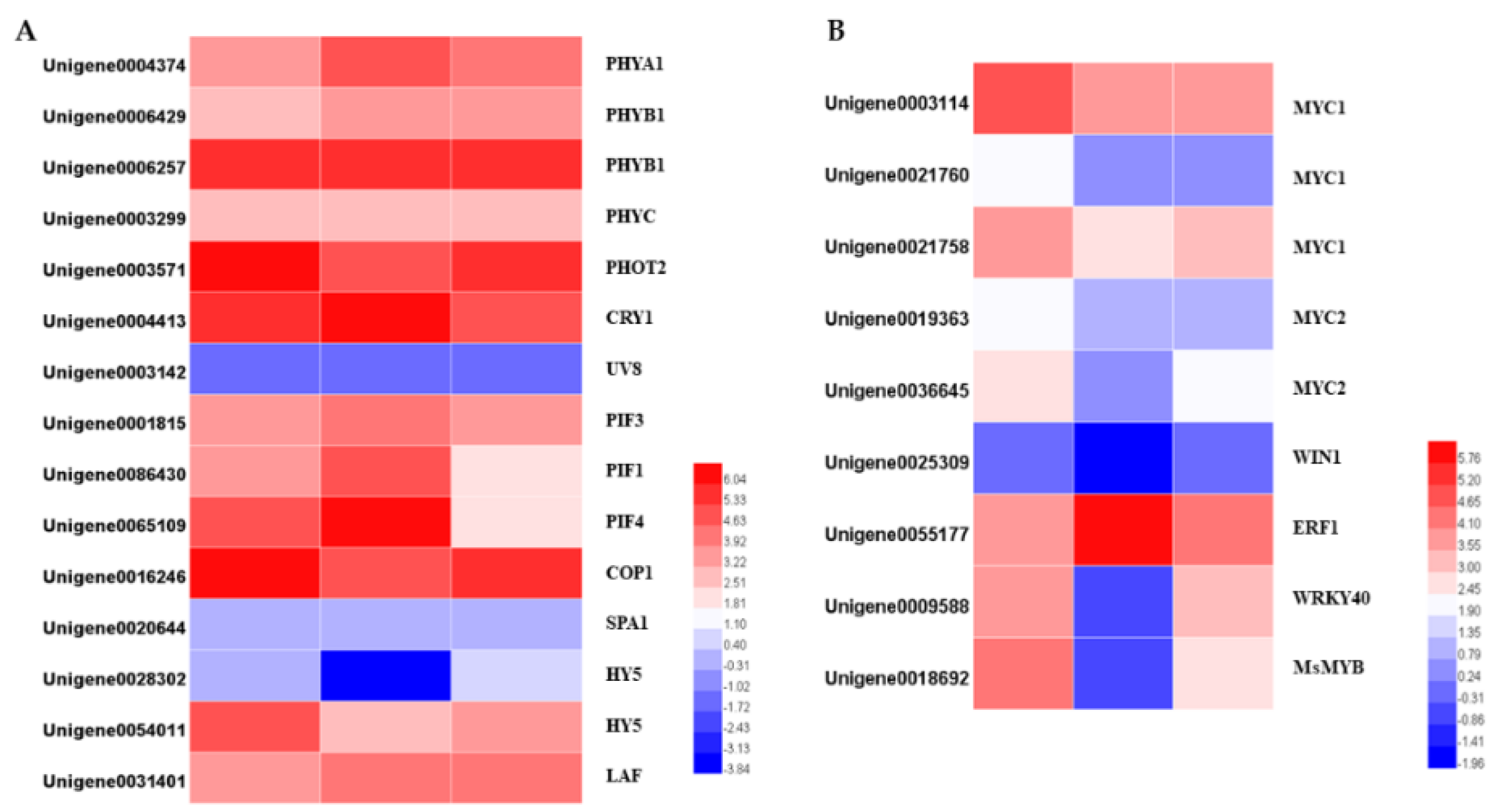 Plants 10 00930 g009