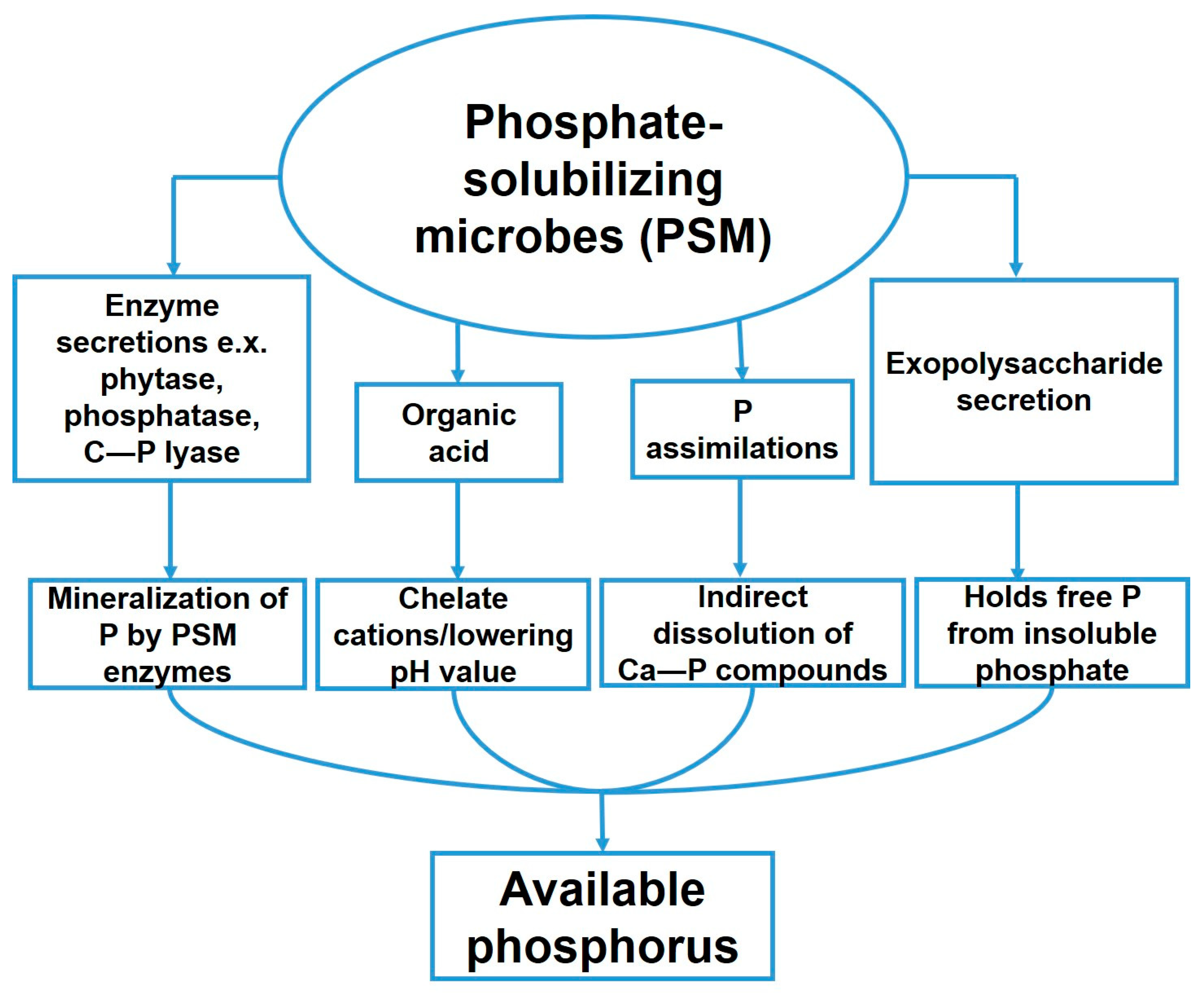 Plants 10 00935 g004 Plants 10 00935 g004