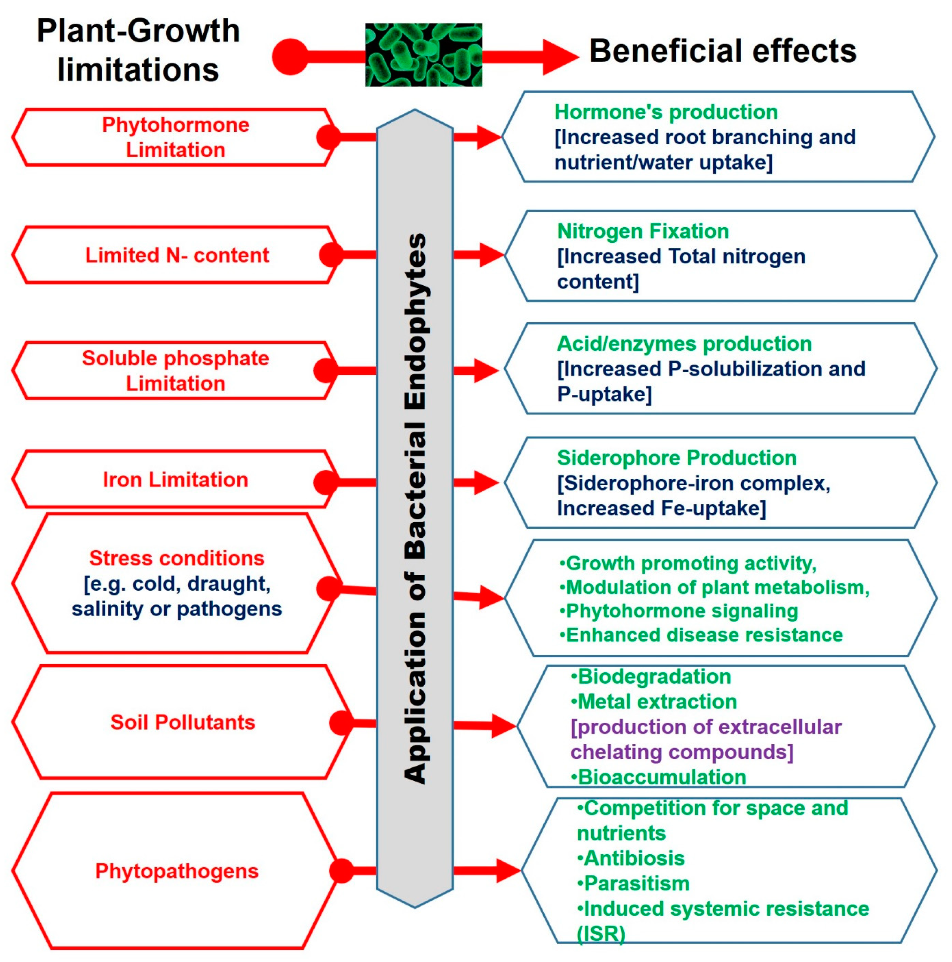 Plants 10 00935 g006 Plants 10 00935 g006
