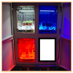 Plants 10 00940 i001 Plants 10 00940 i001