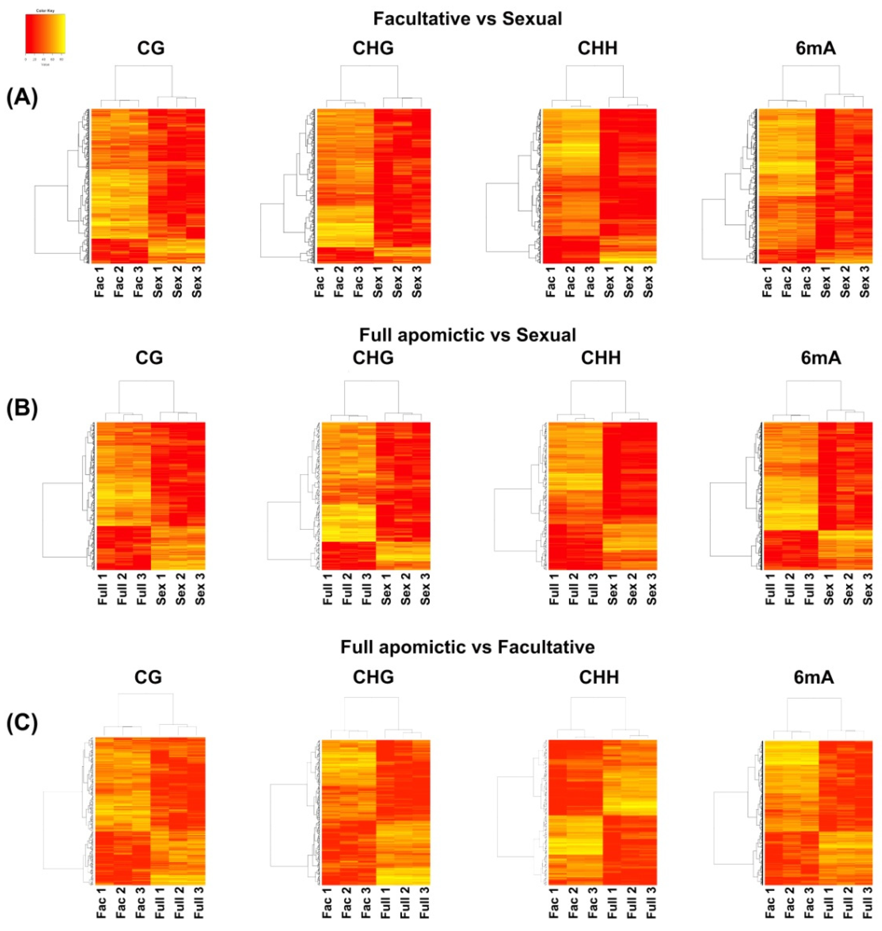 Plants 10 00946 g001
