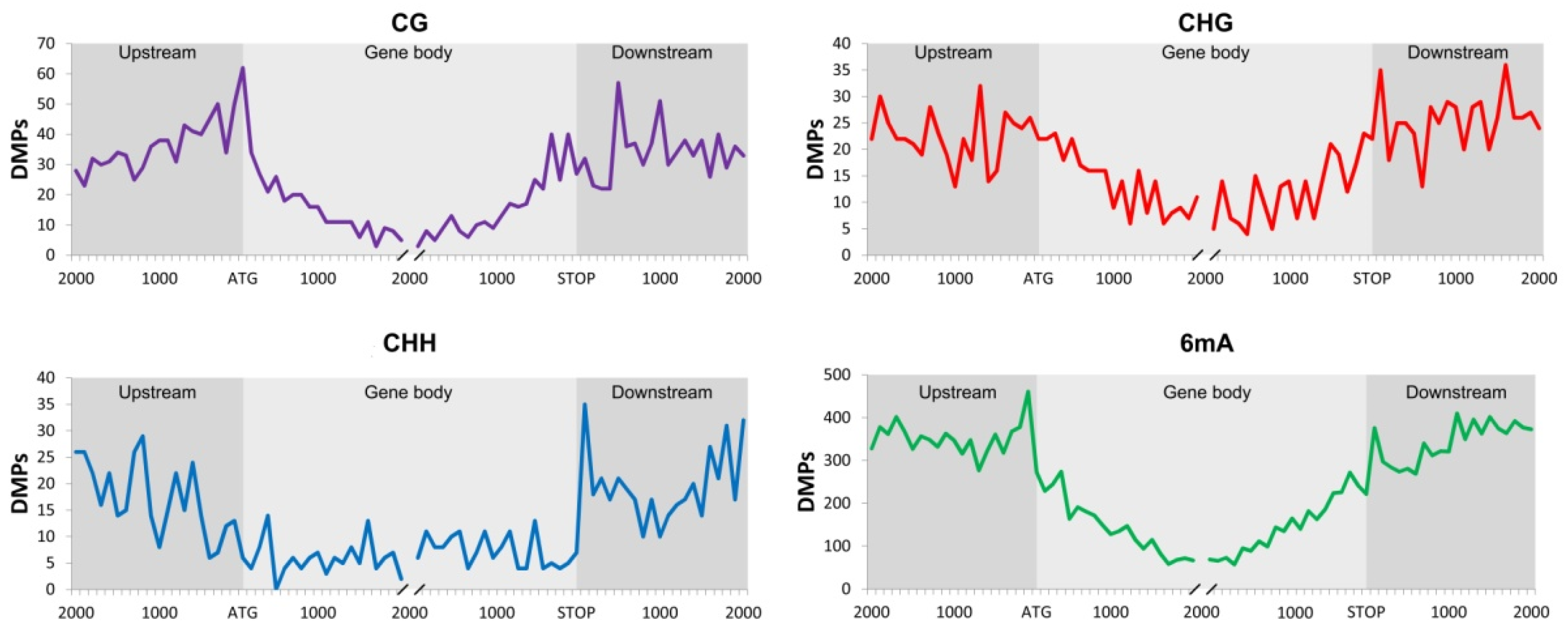 Plants 10 00946 g003