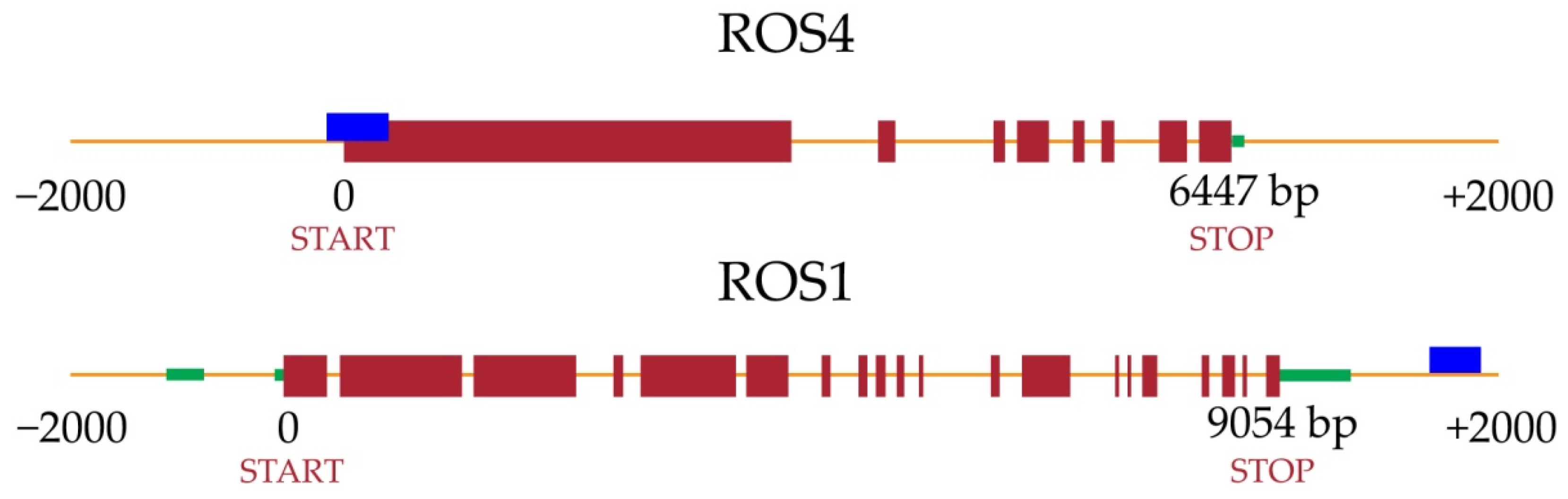 Plants 10 00946 g005