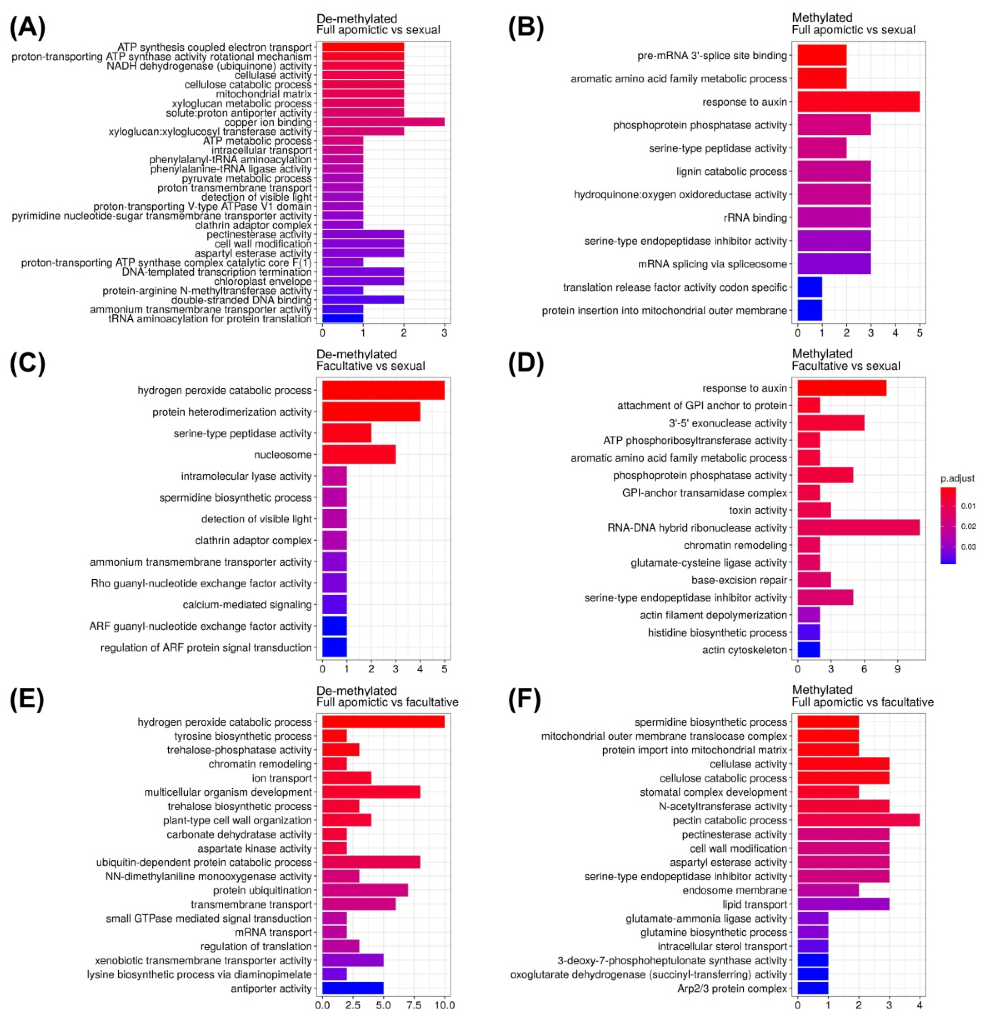 Plants 10 00946 g006