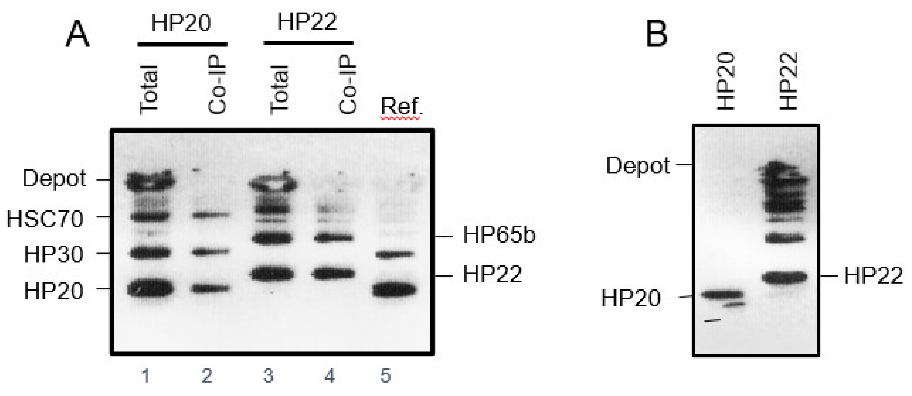 Plants 10 00958 g006