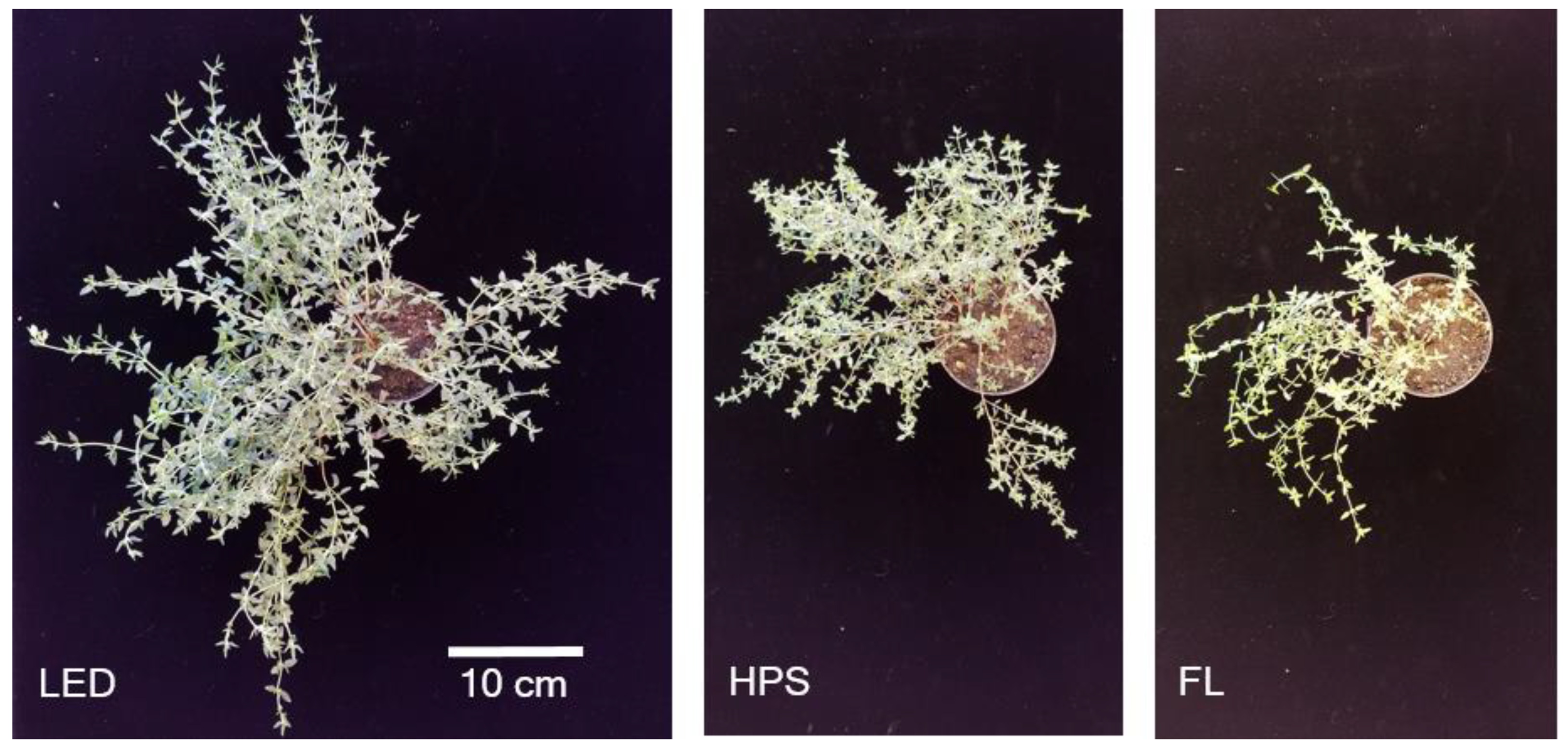 Plants 10 00960 g002