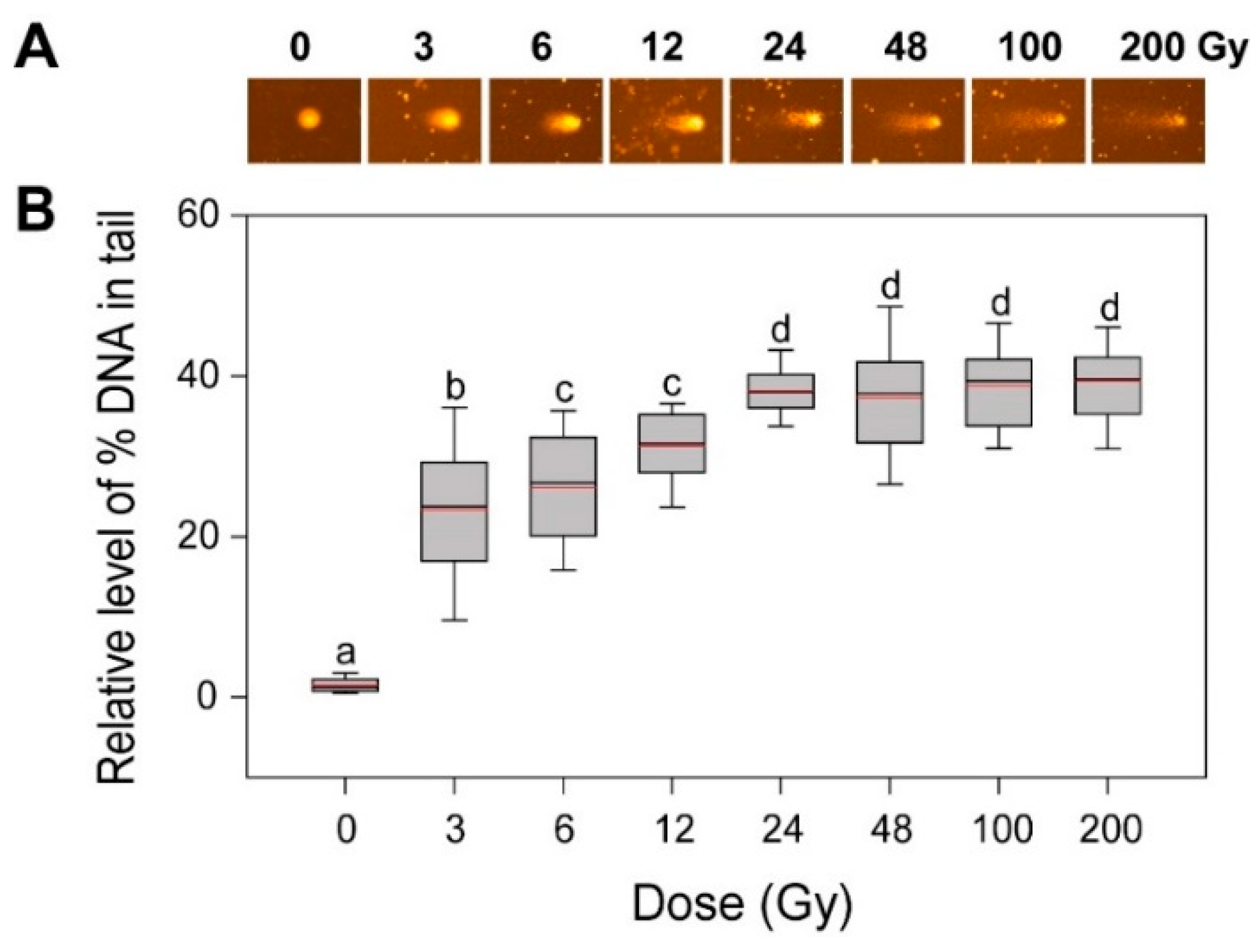 Plants 10 00968 g002