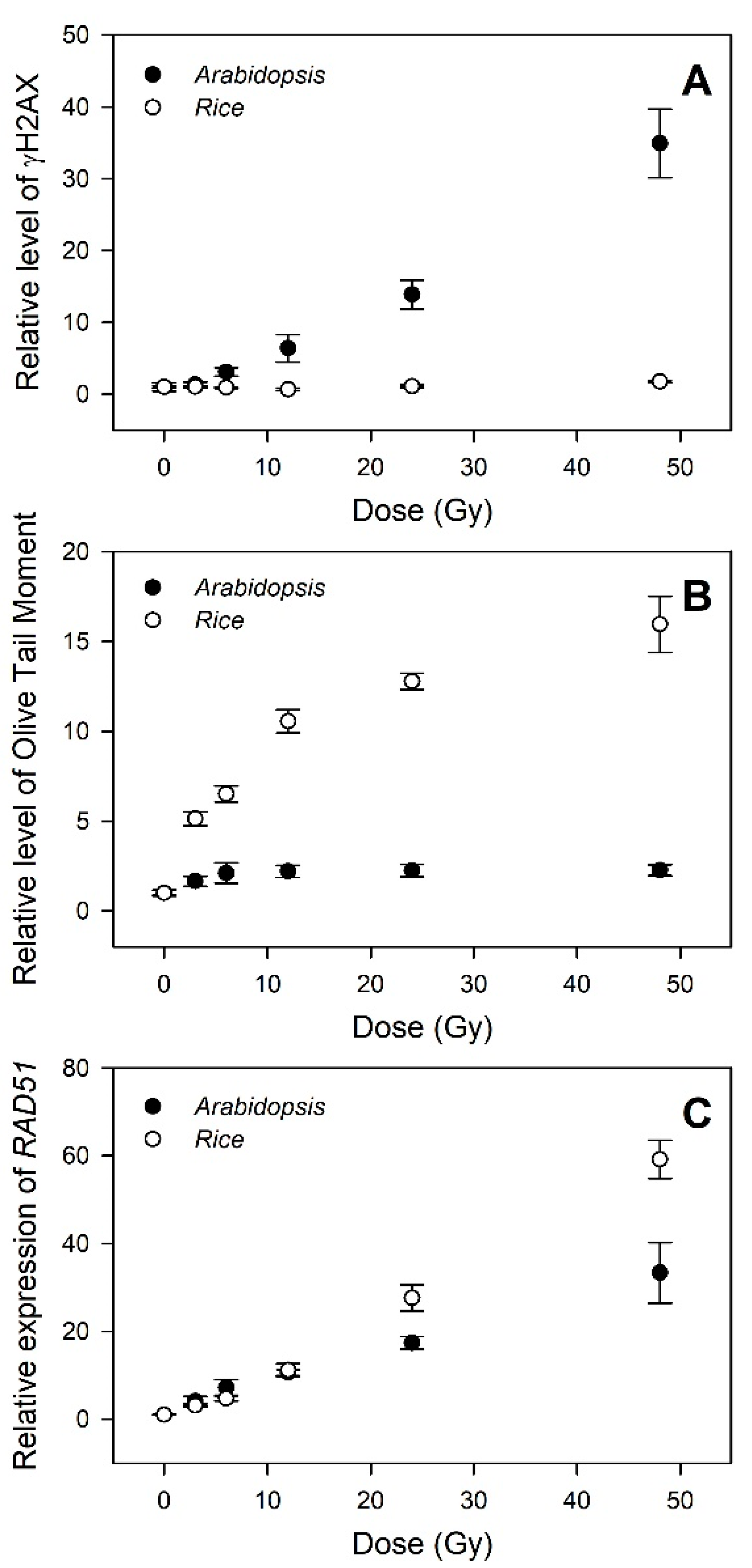 Plants 10 00968 g006