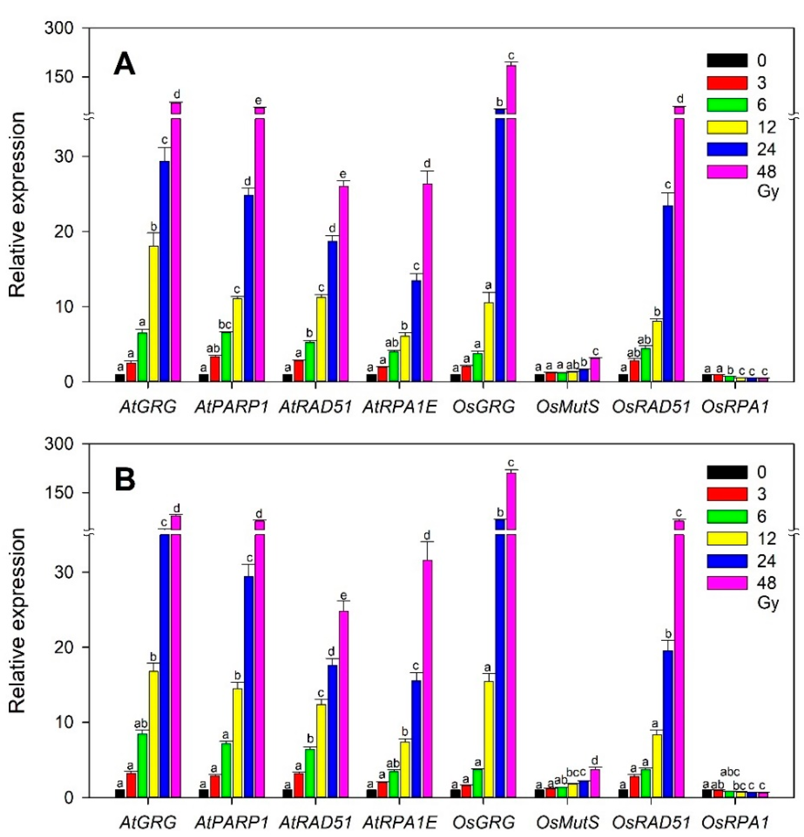 Plants 10 00968 g007