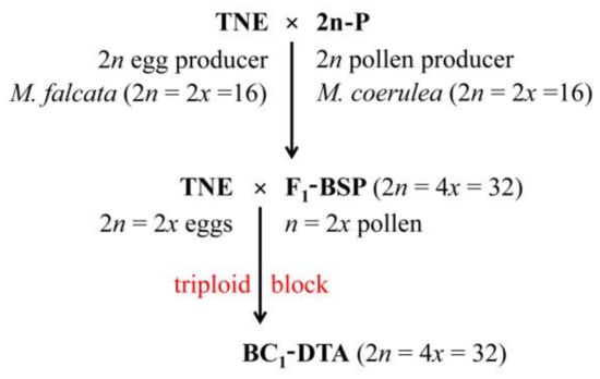 Plants 10 00999 g0a1
