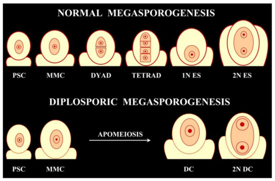 Plants 10 00999 g0a2
