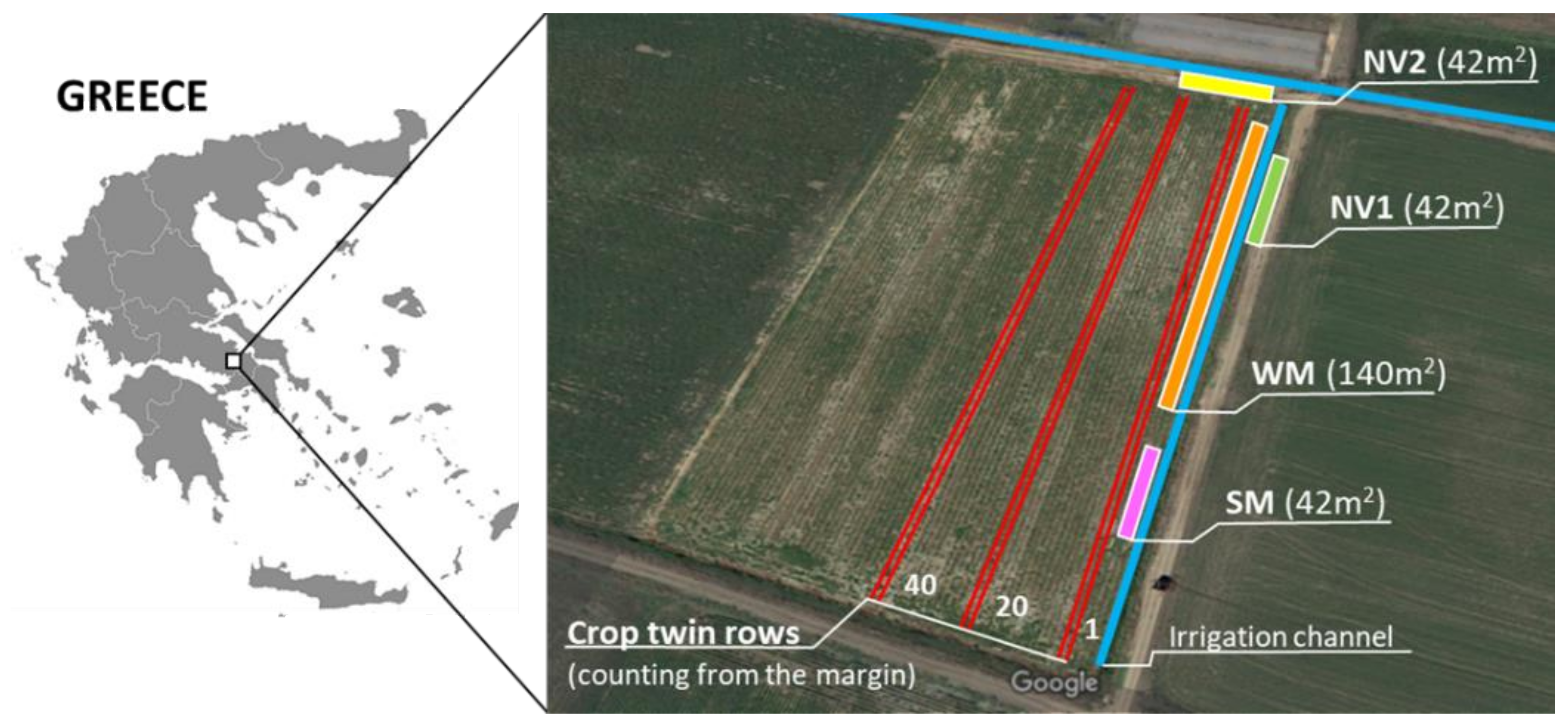 Plants 10 01003 g005