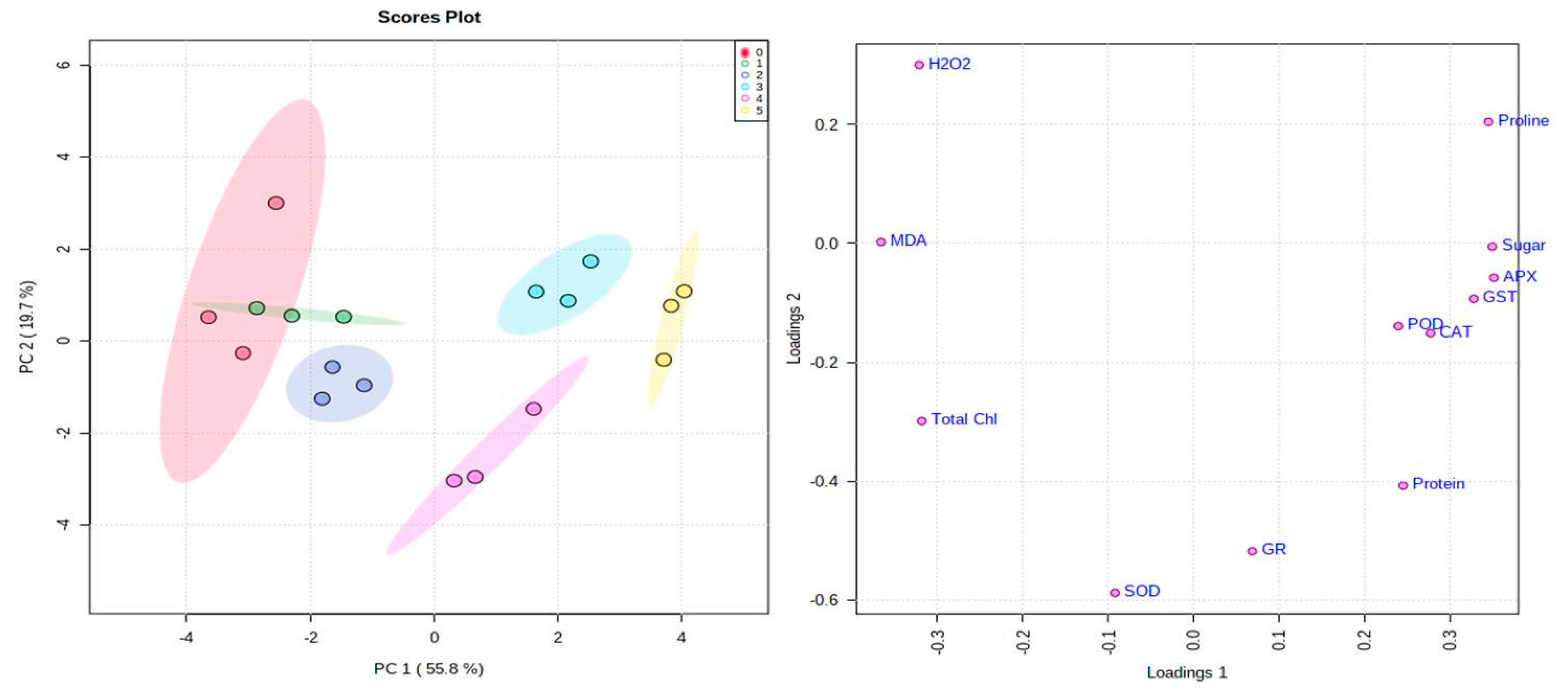 Plants 10 01005 g006