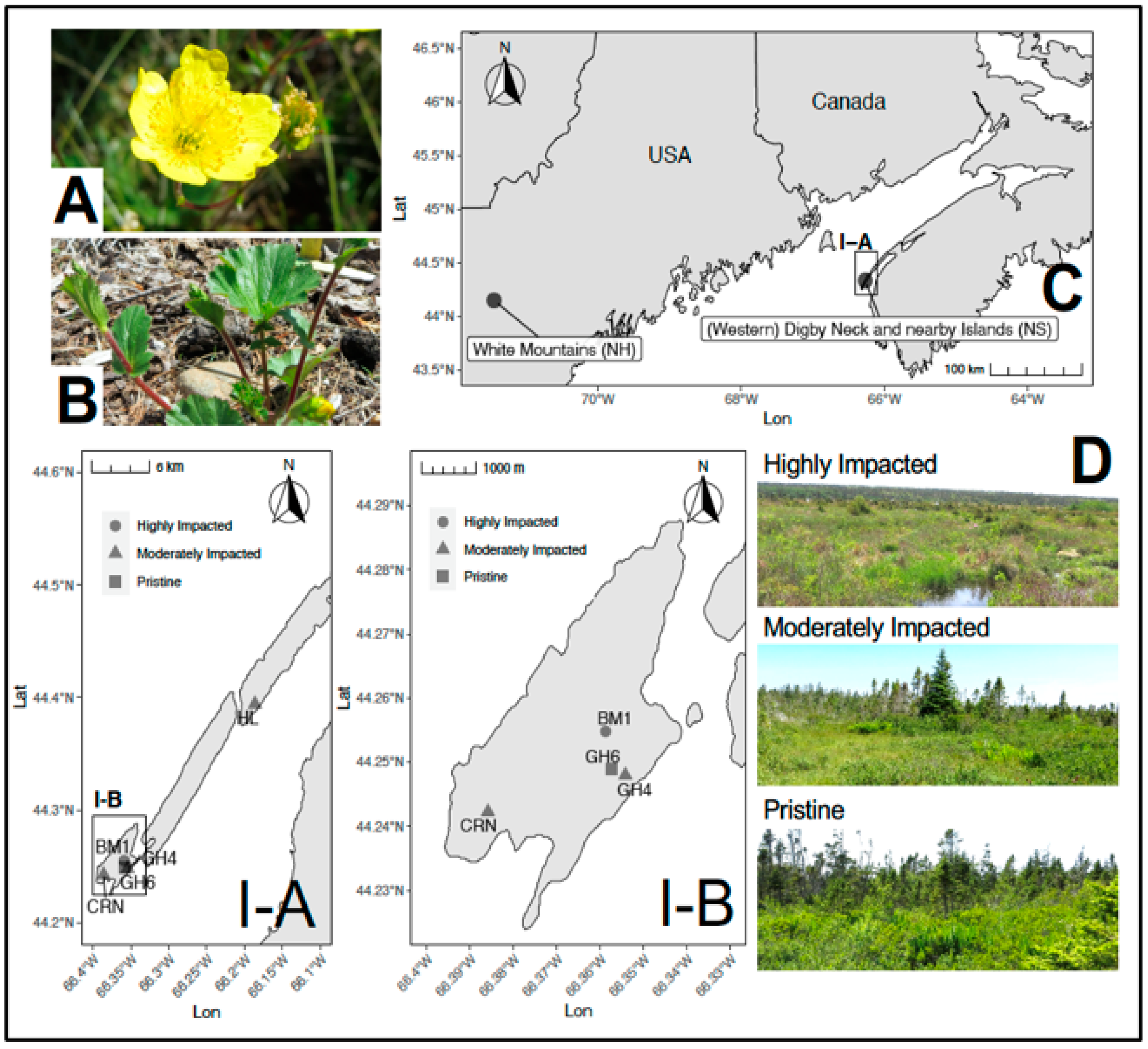 Plants 10 01026 g001