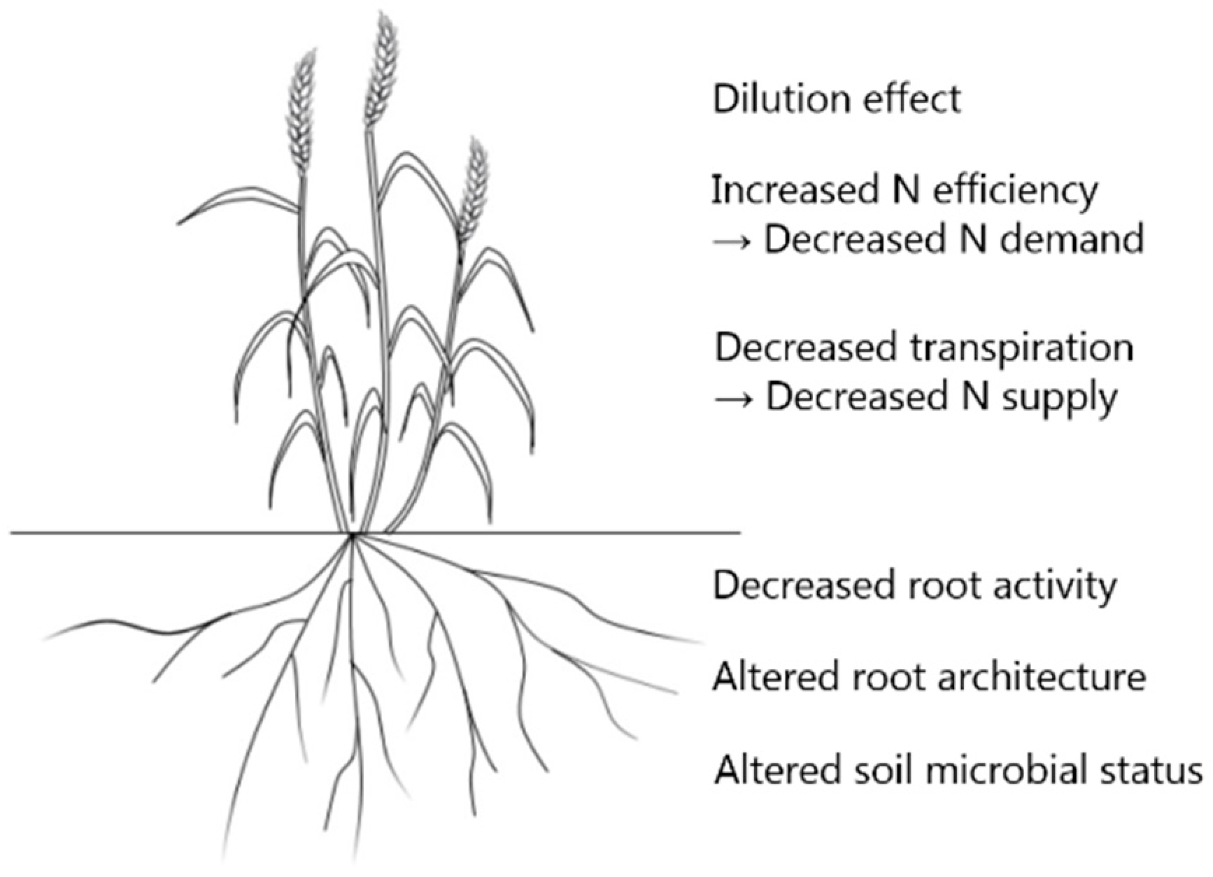 Plants 10 01027 g001 Plants 10 01027 g001