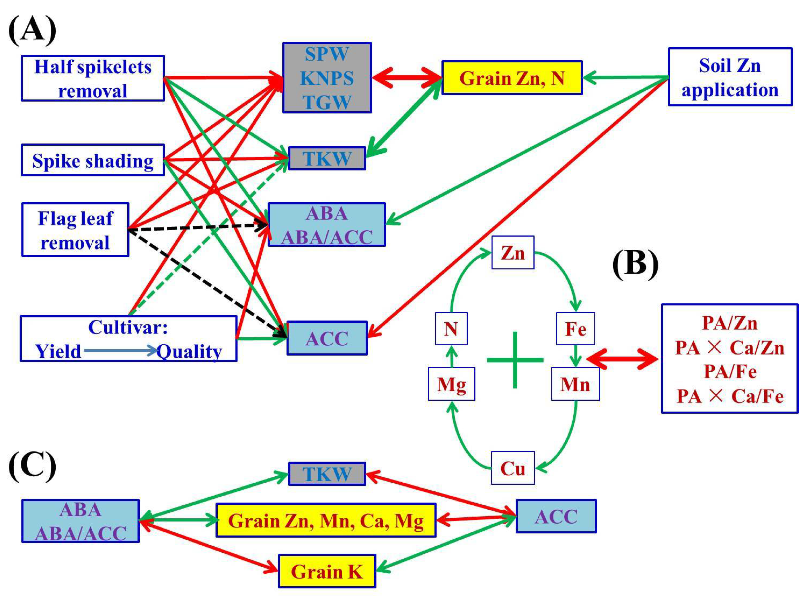 Plants 10 01032 g003