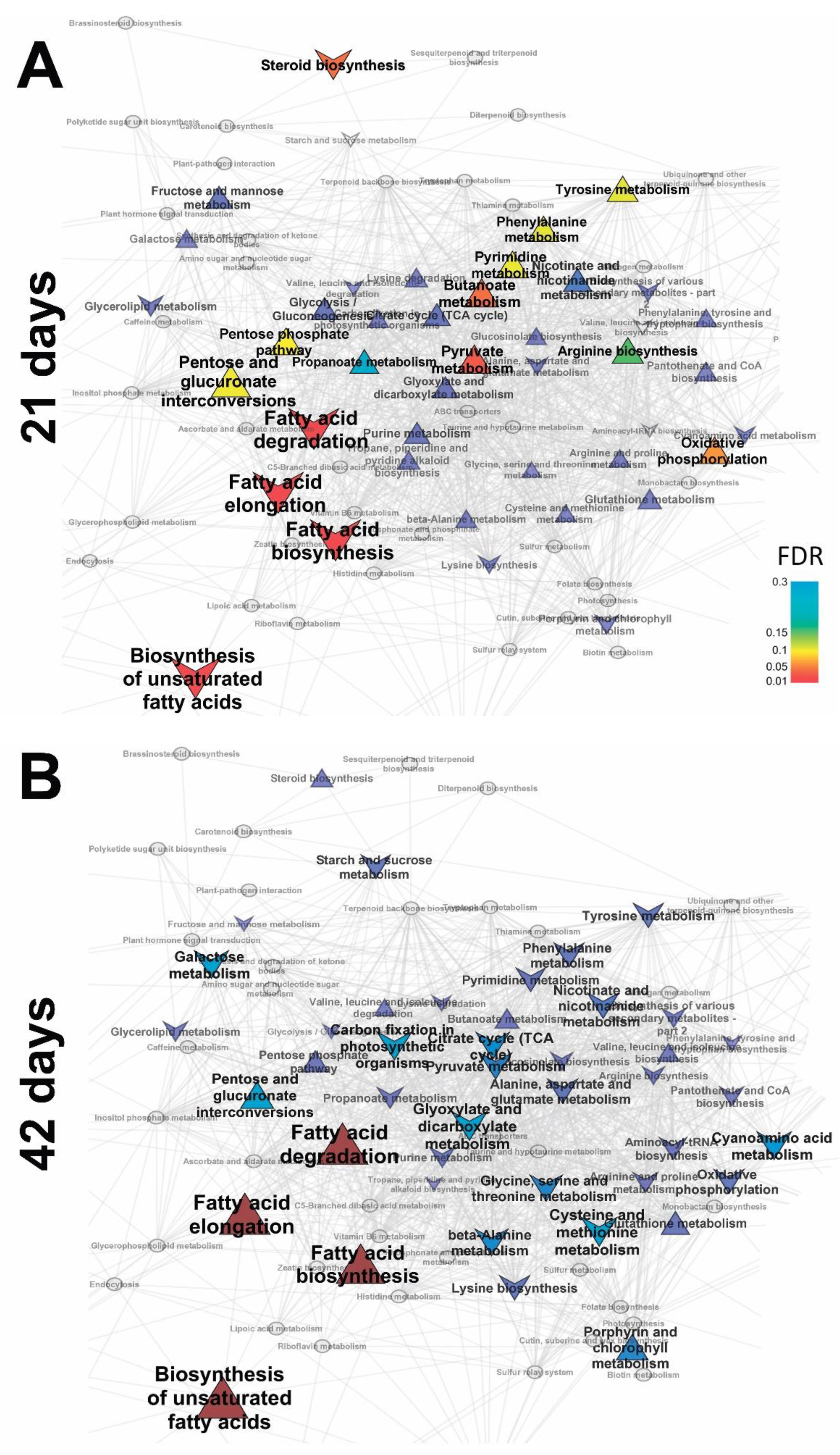 Plants 10 01033 g005a Plants 10 01033 g005a
