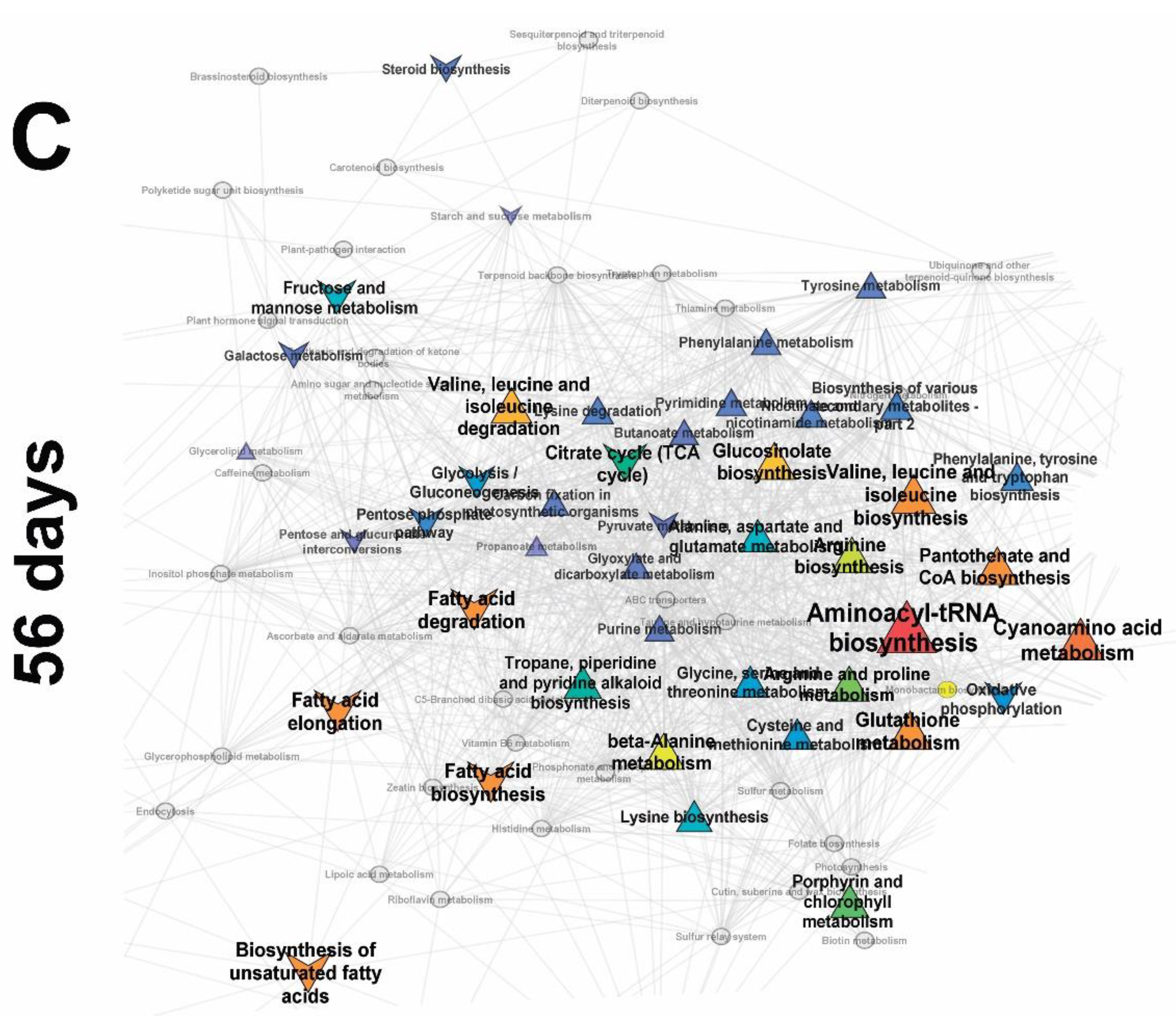 Plants 10 01033 g005b Plants 10 01033 g005b